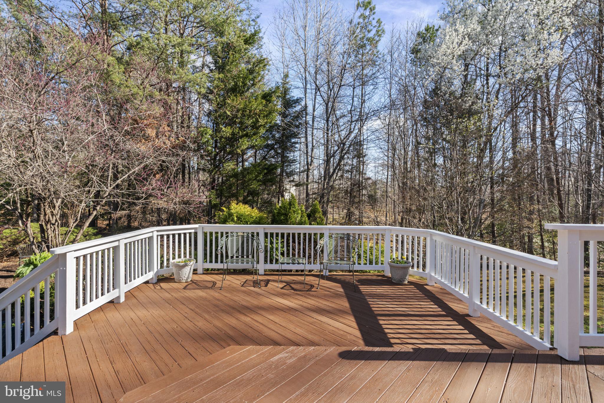 WINDSOR FOREST - Residential