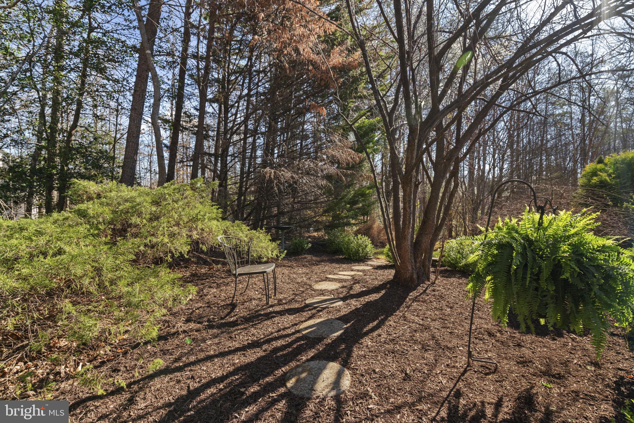 WINDSOR FOREST - Residential