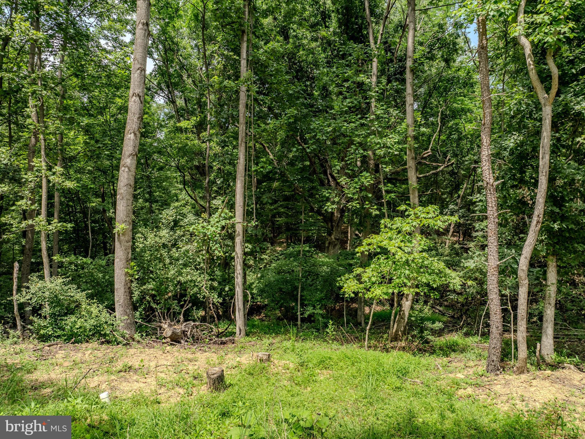 HIGHLAND HILLS - Land