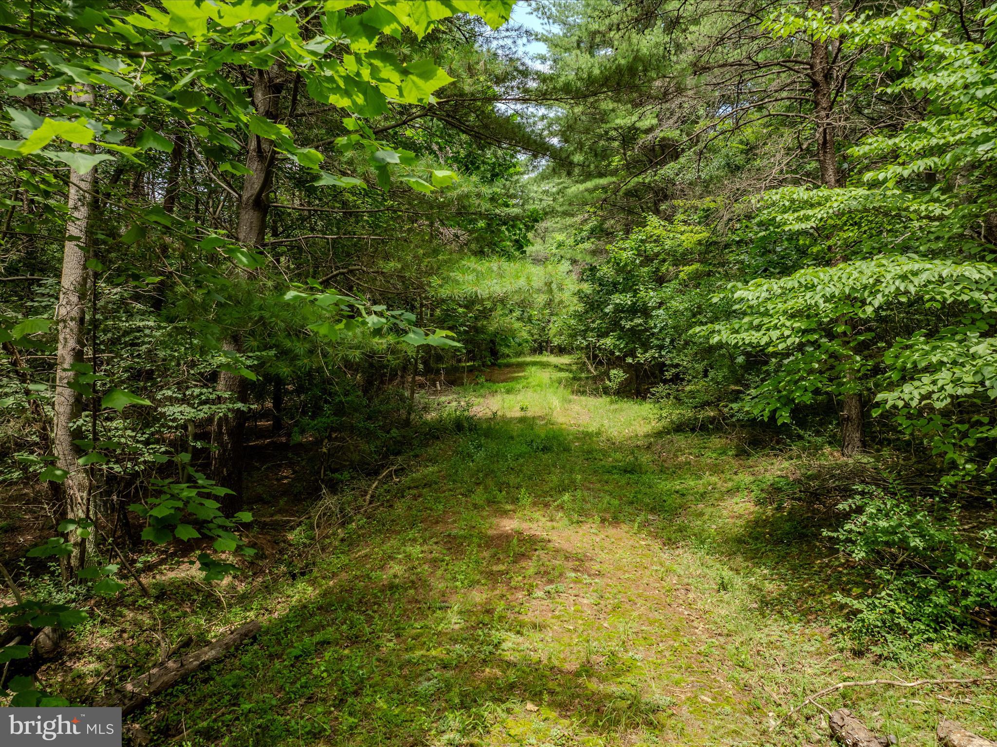 HIGHLAND HILLS - Land