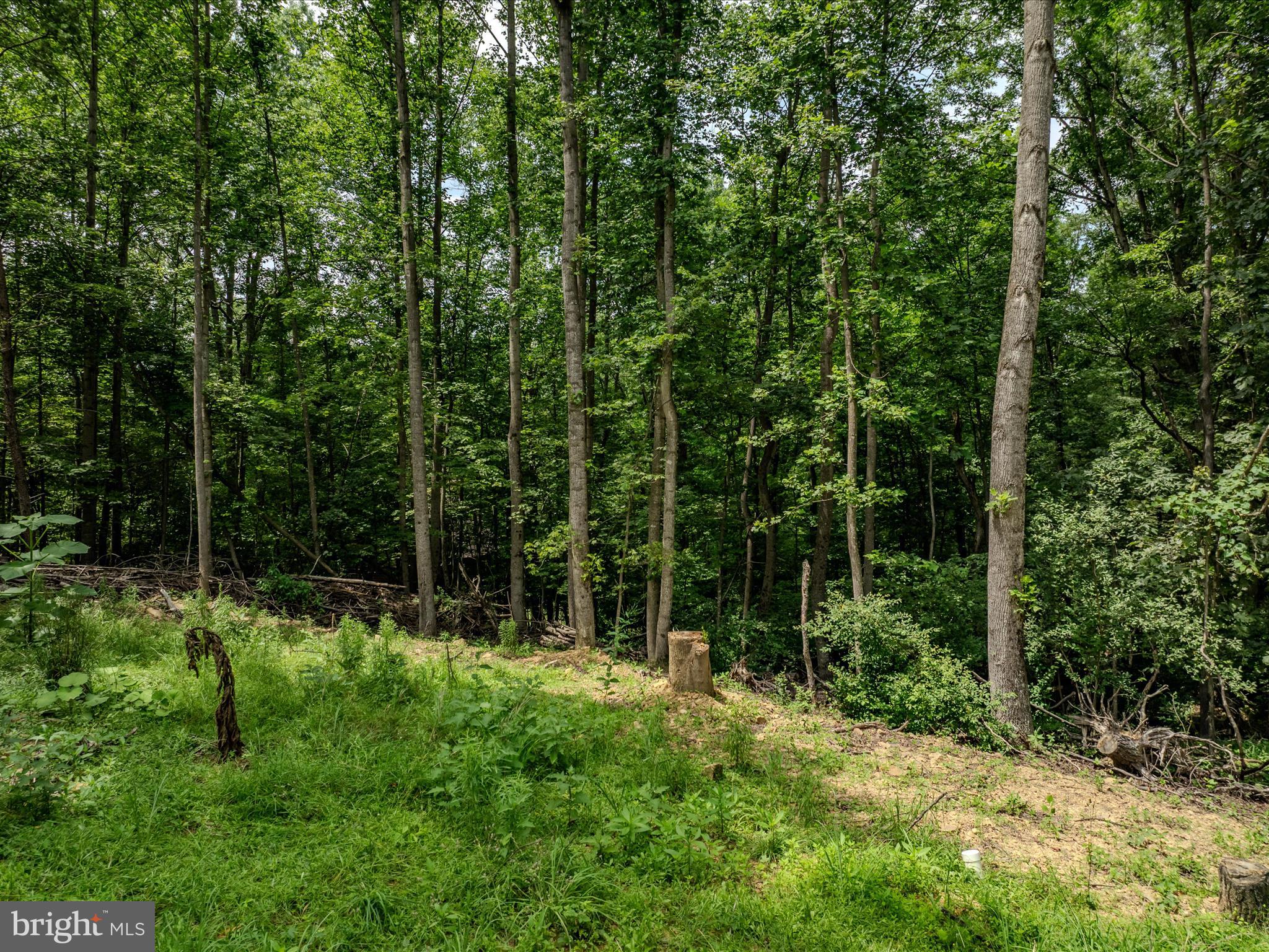 HIGHLAND HILLS - Land