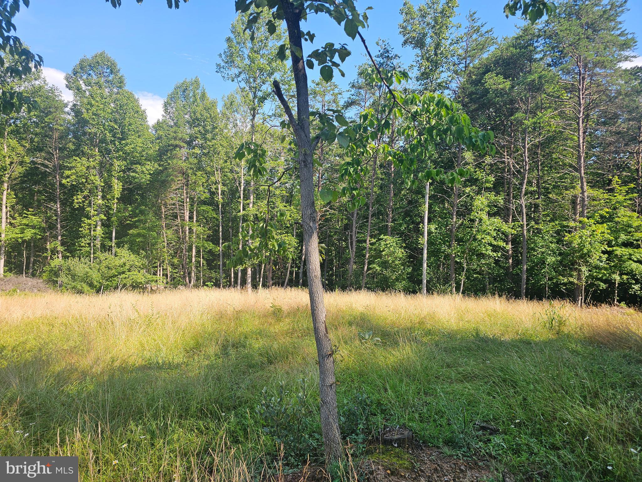 609 RUPPENTHAL