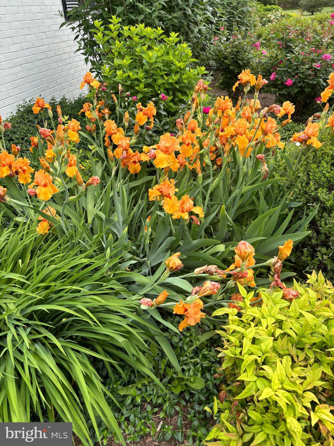 DRUM POINT - Residential