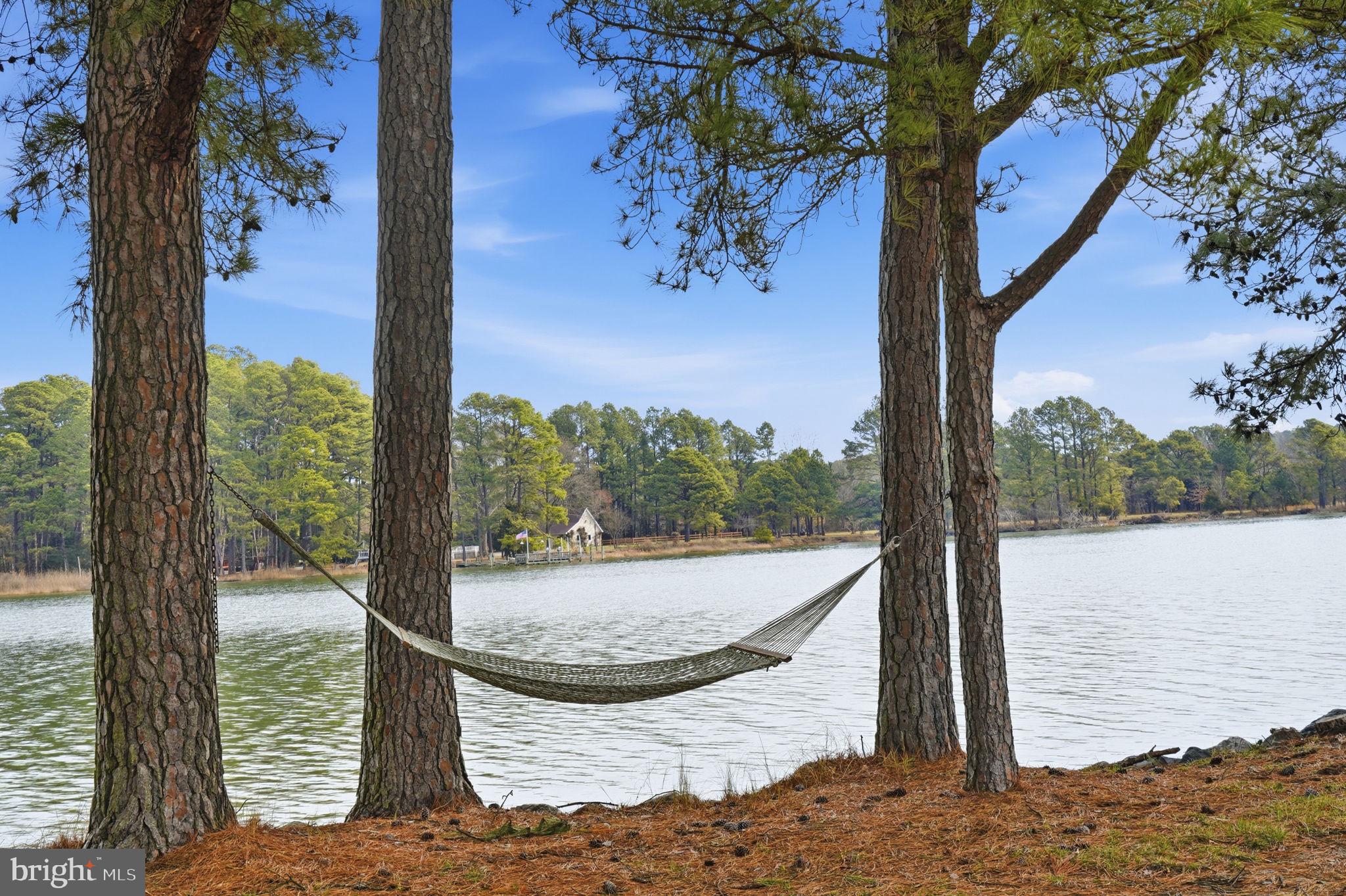 DRUM POINT - Residential