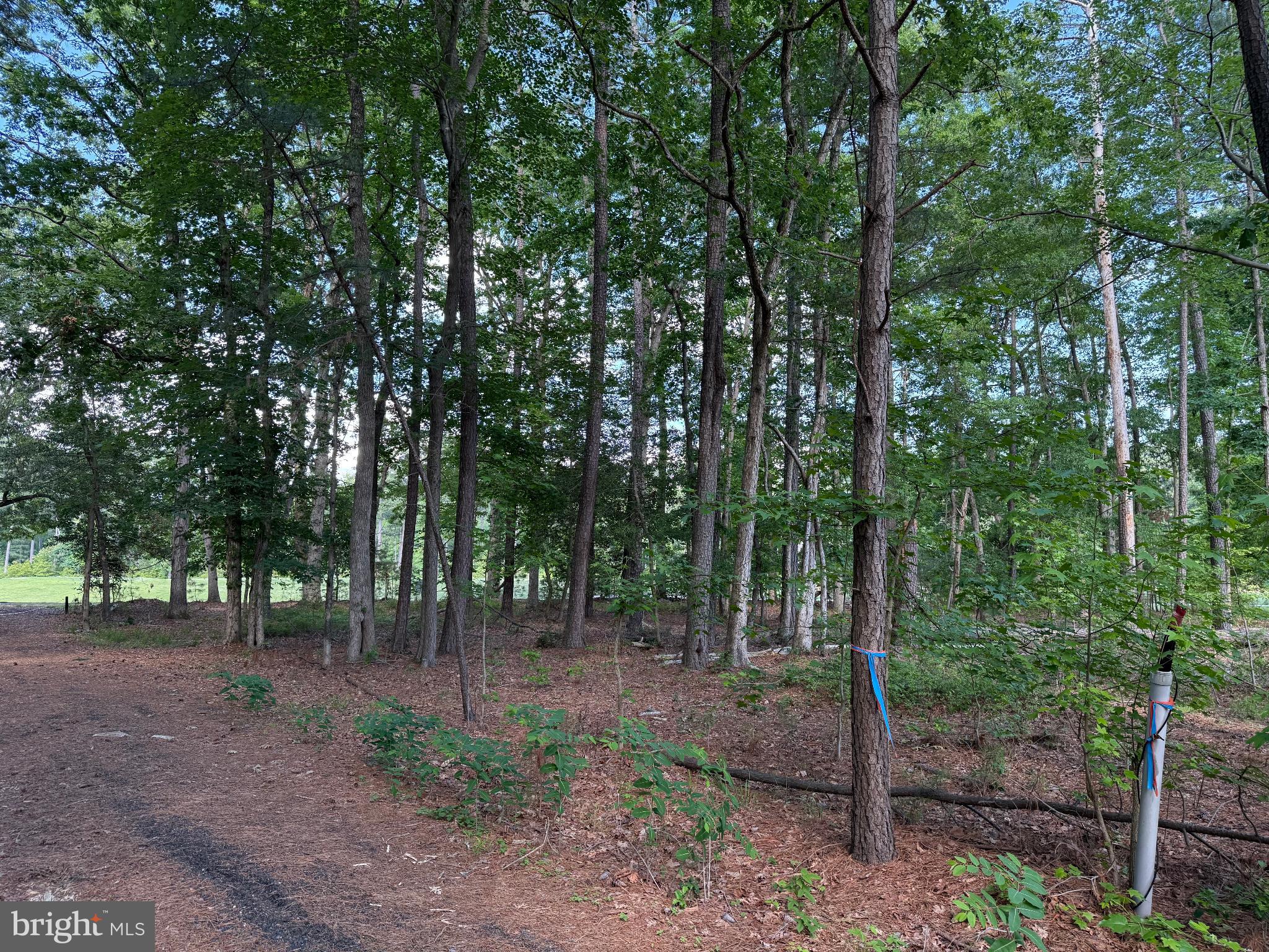 15127 BEACON HILL CIRCLE