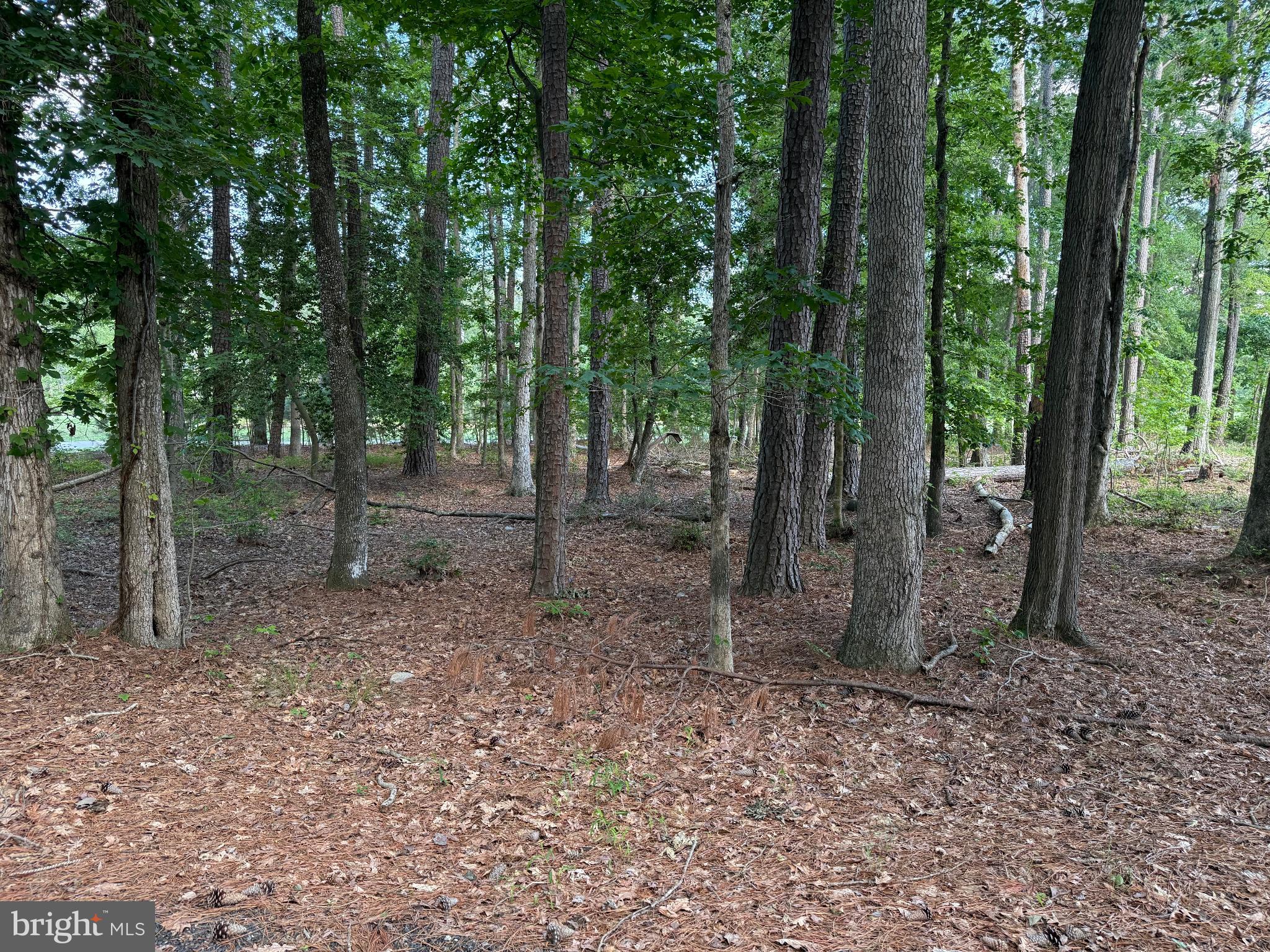 15127 BEACON HILL CIRCLE