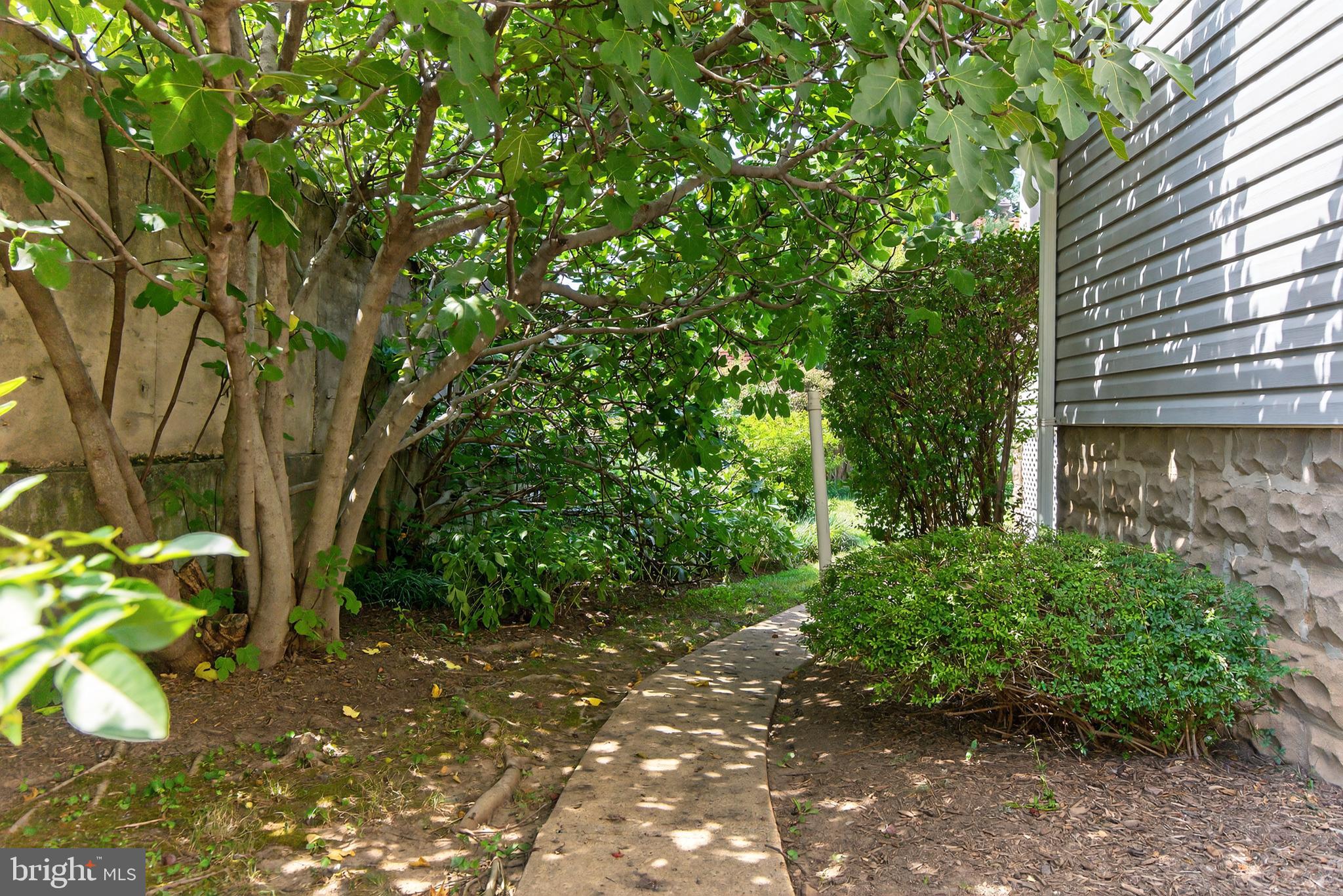 MAYWOOD - Residential