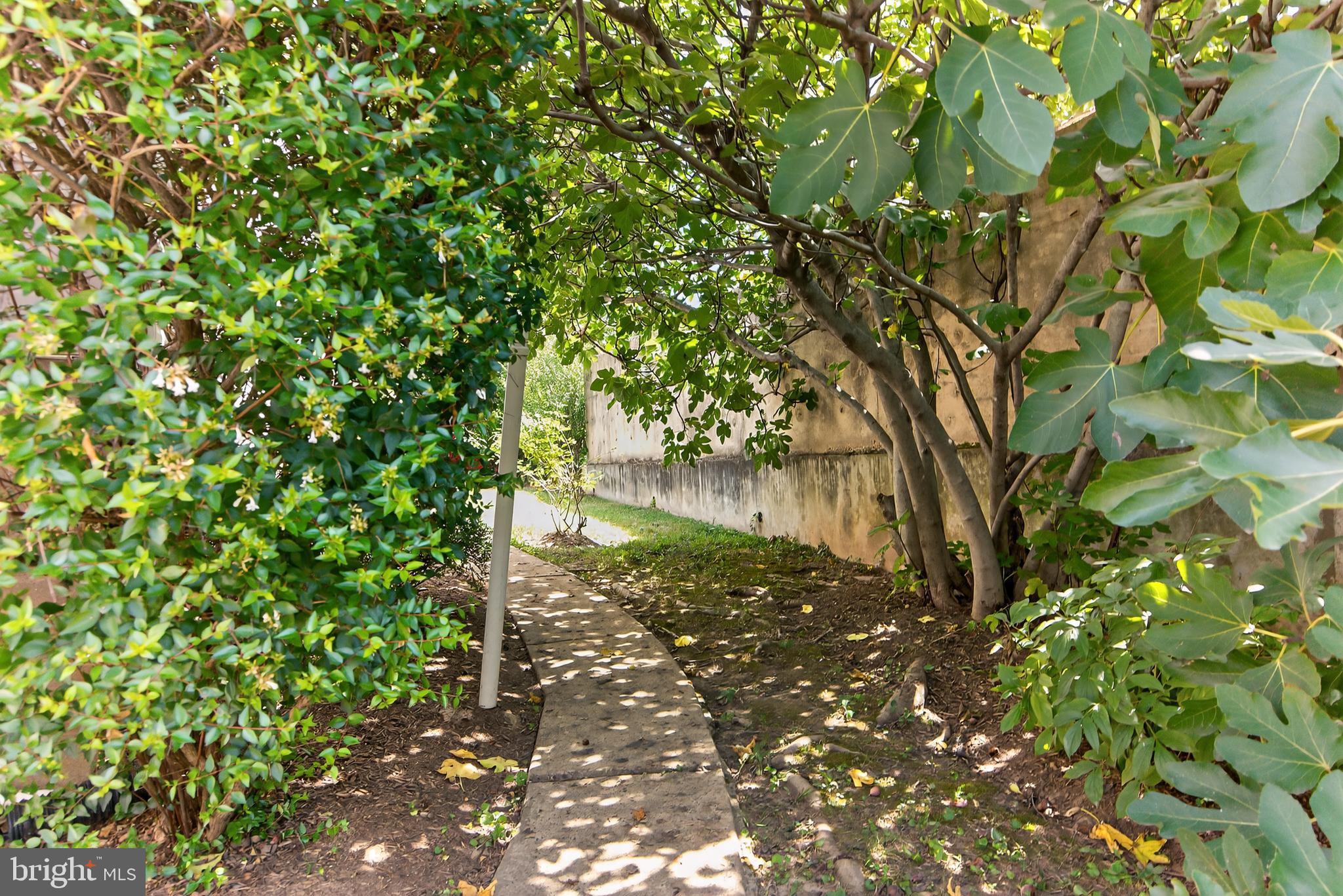 MAYWOOD - Residential