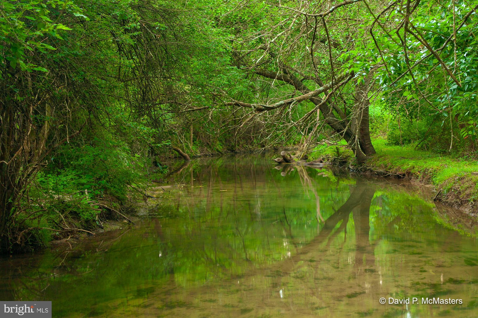 BEDINGTON - Residential