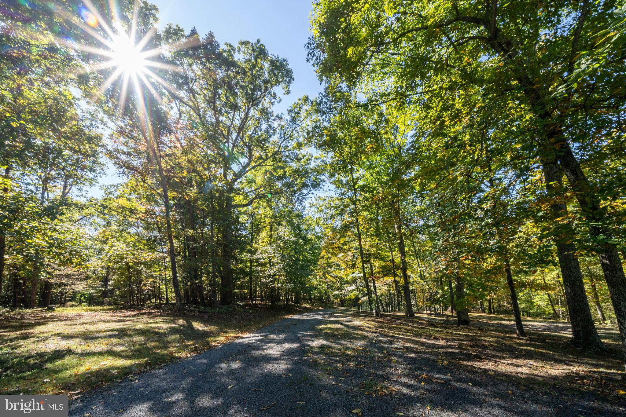 GAINESVILLE - Residential