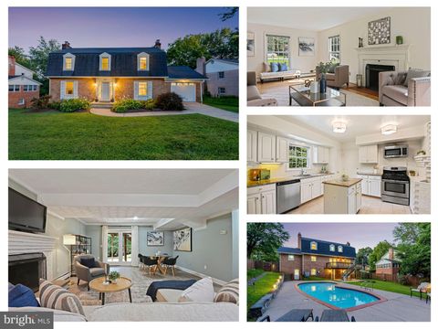 8007 LEWINSVILLE ROAD MCLEAN VA 22102