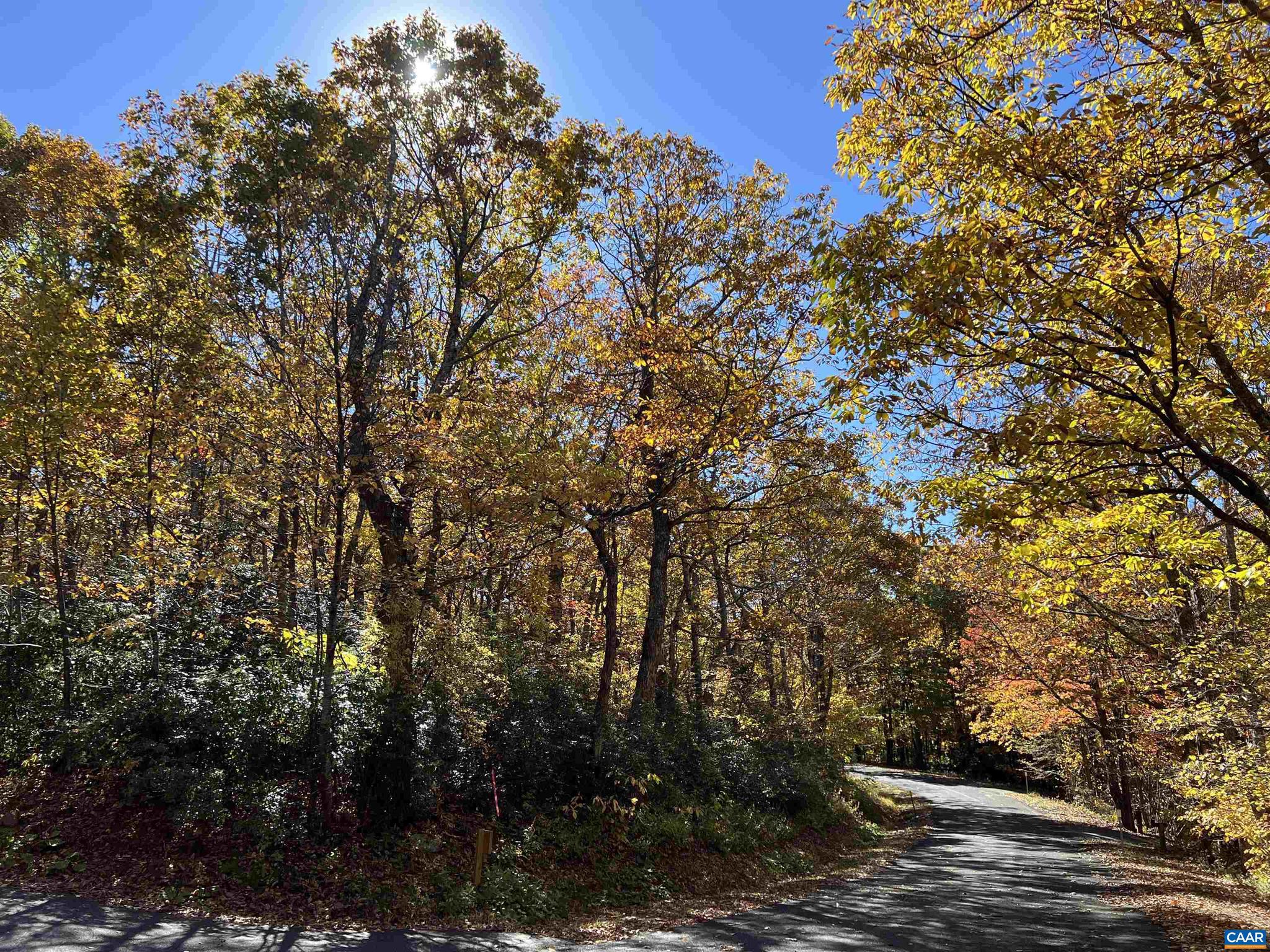 WINTERGREEN RESORT - Land