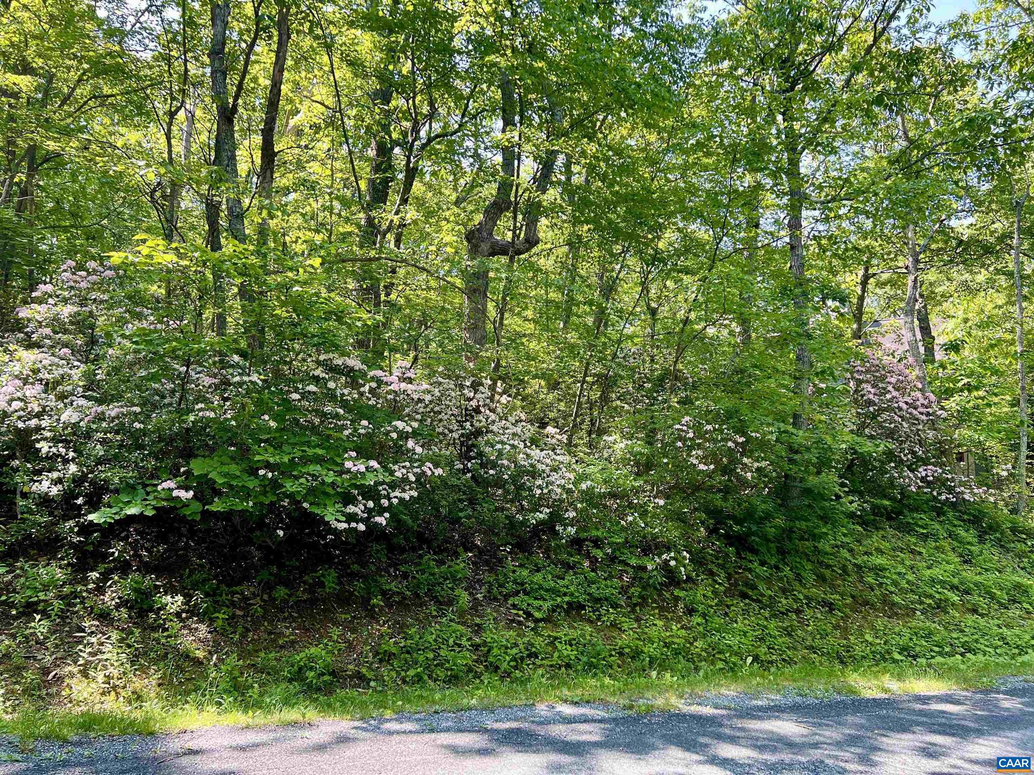 WINTERGREEN RESORT - Land