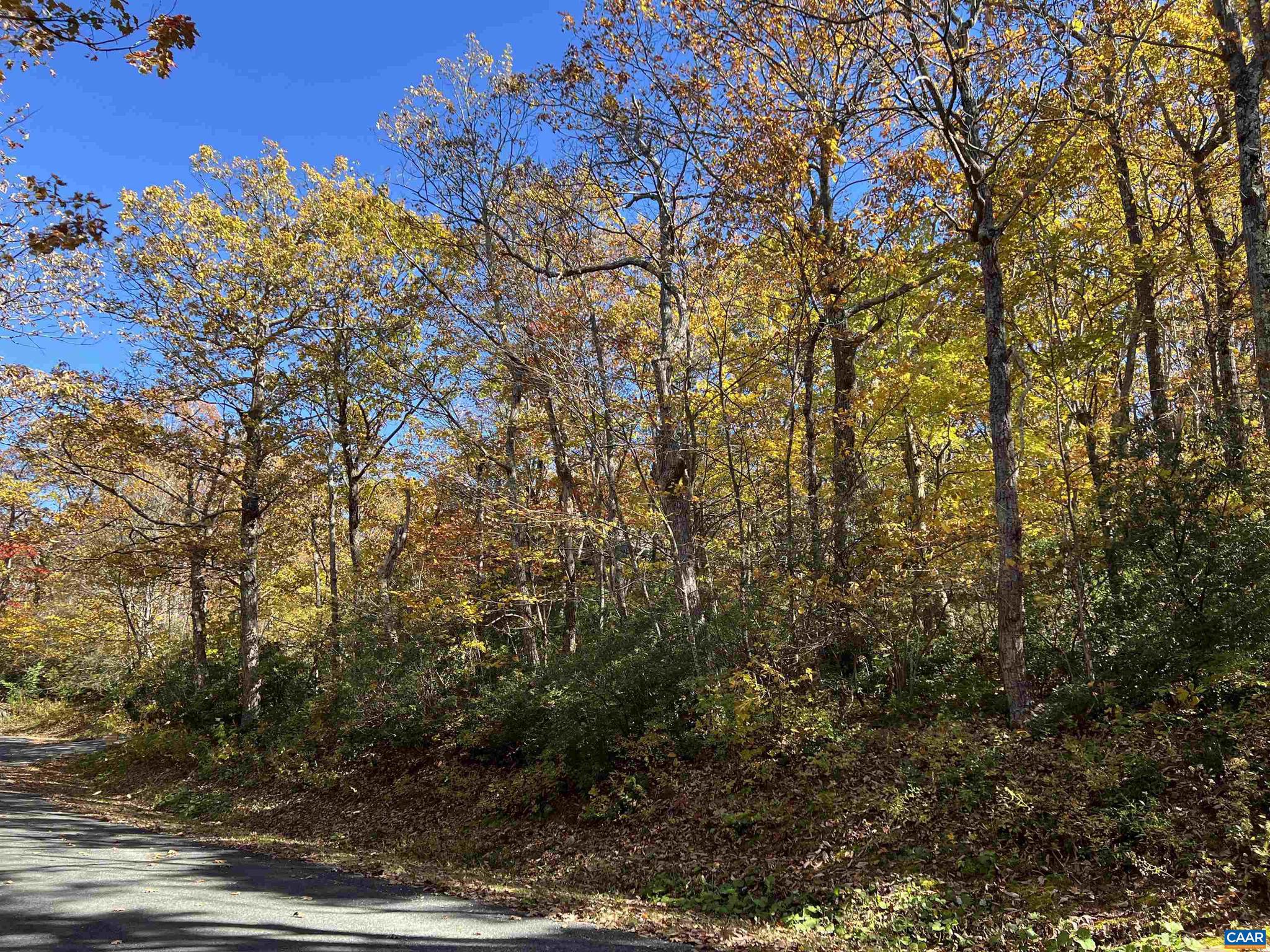 WINTERGREEN RESORT - Land