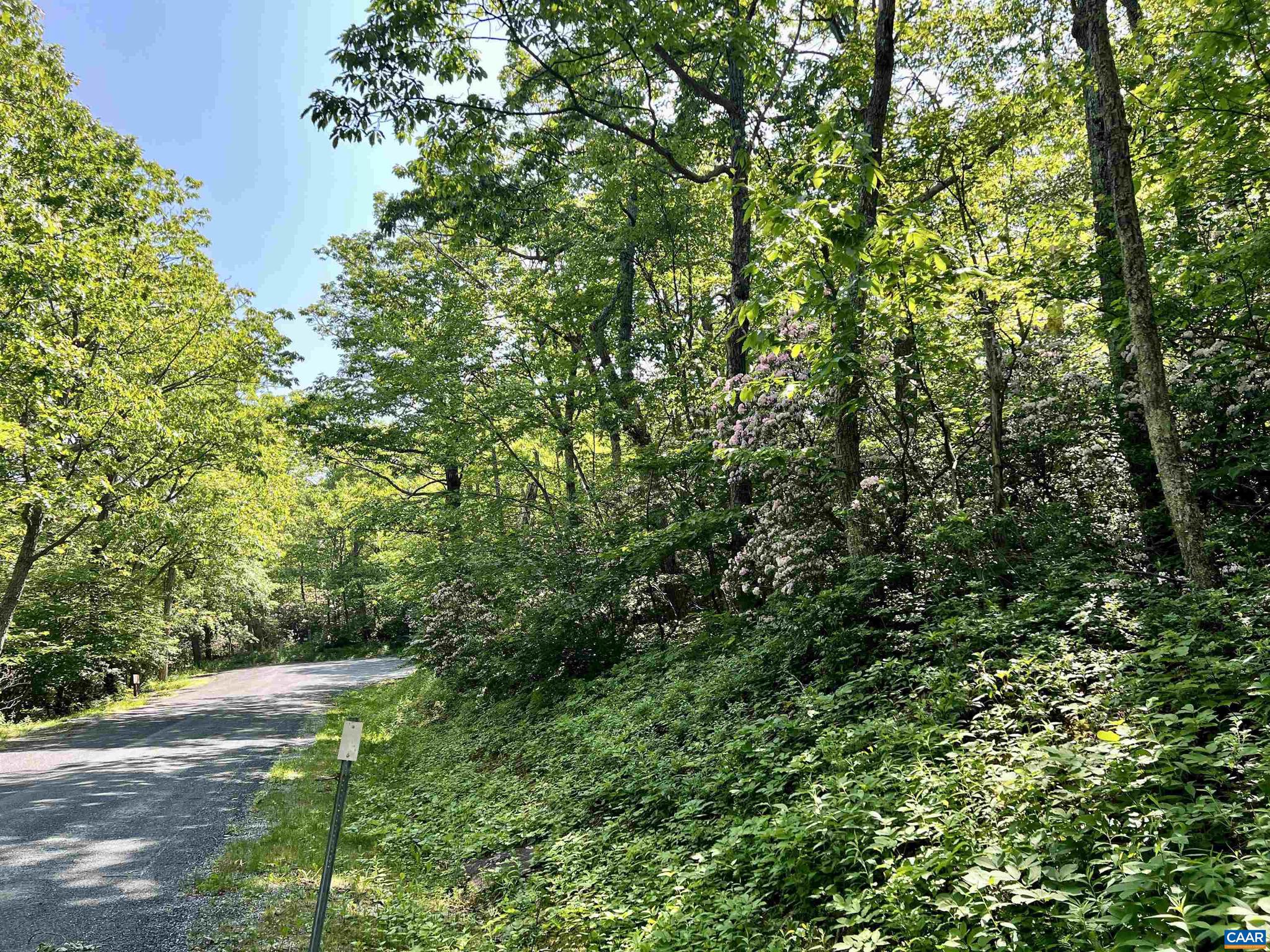 WINTERGREEN RESORT - Land