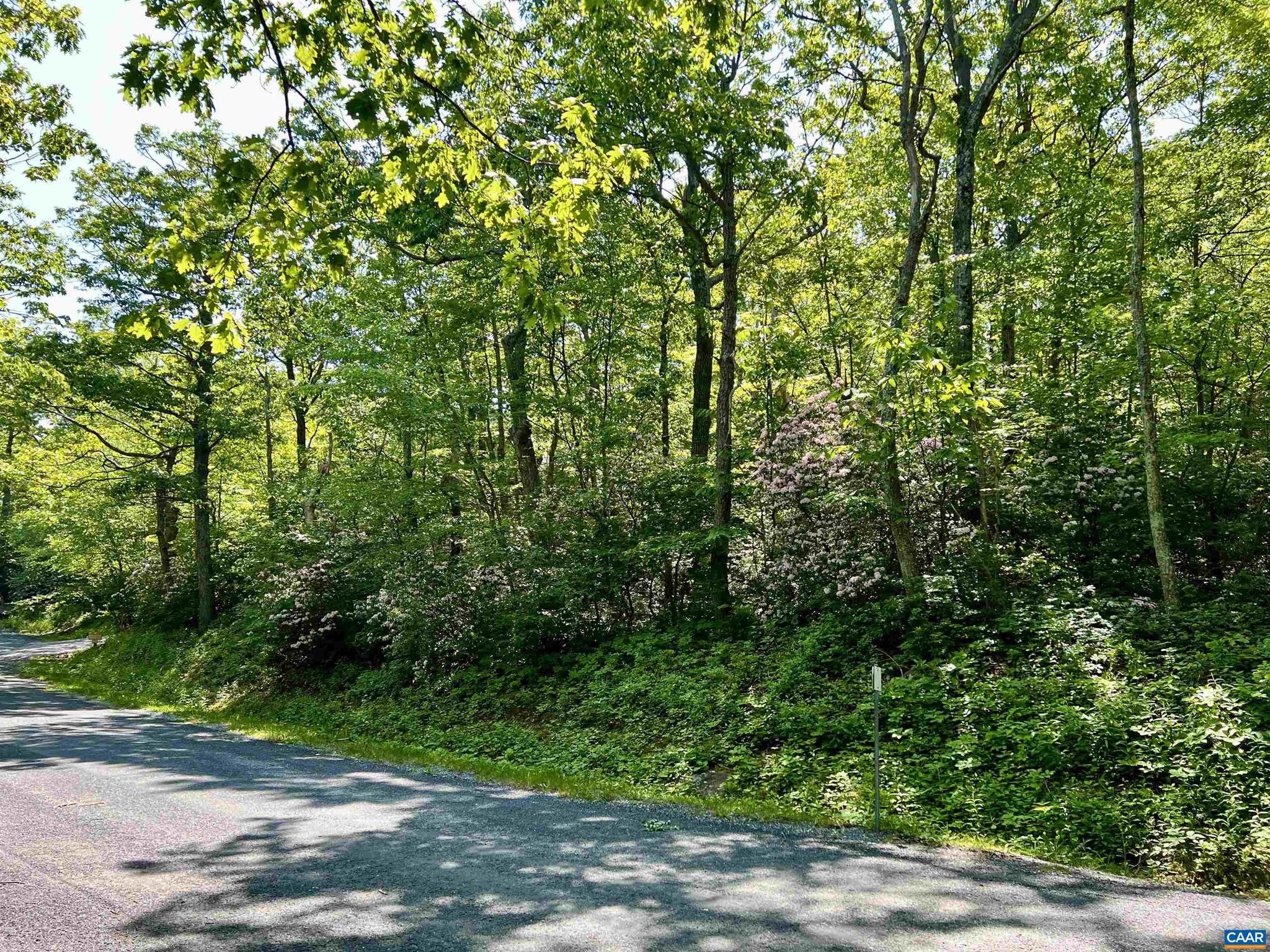 WINTERGREEN RESORT - Land