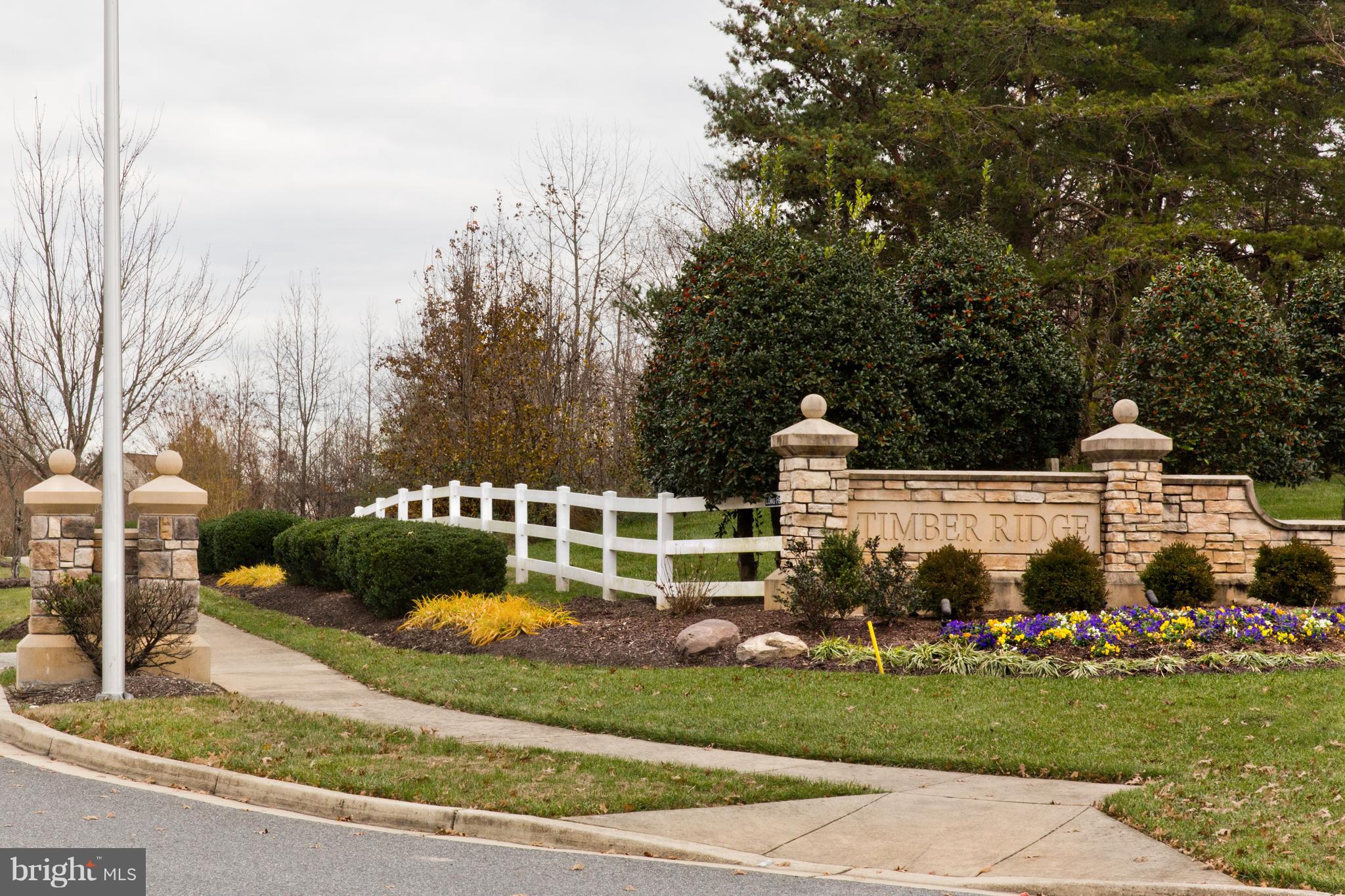 TIMBER RIDGE-PLAT 1 - Residential