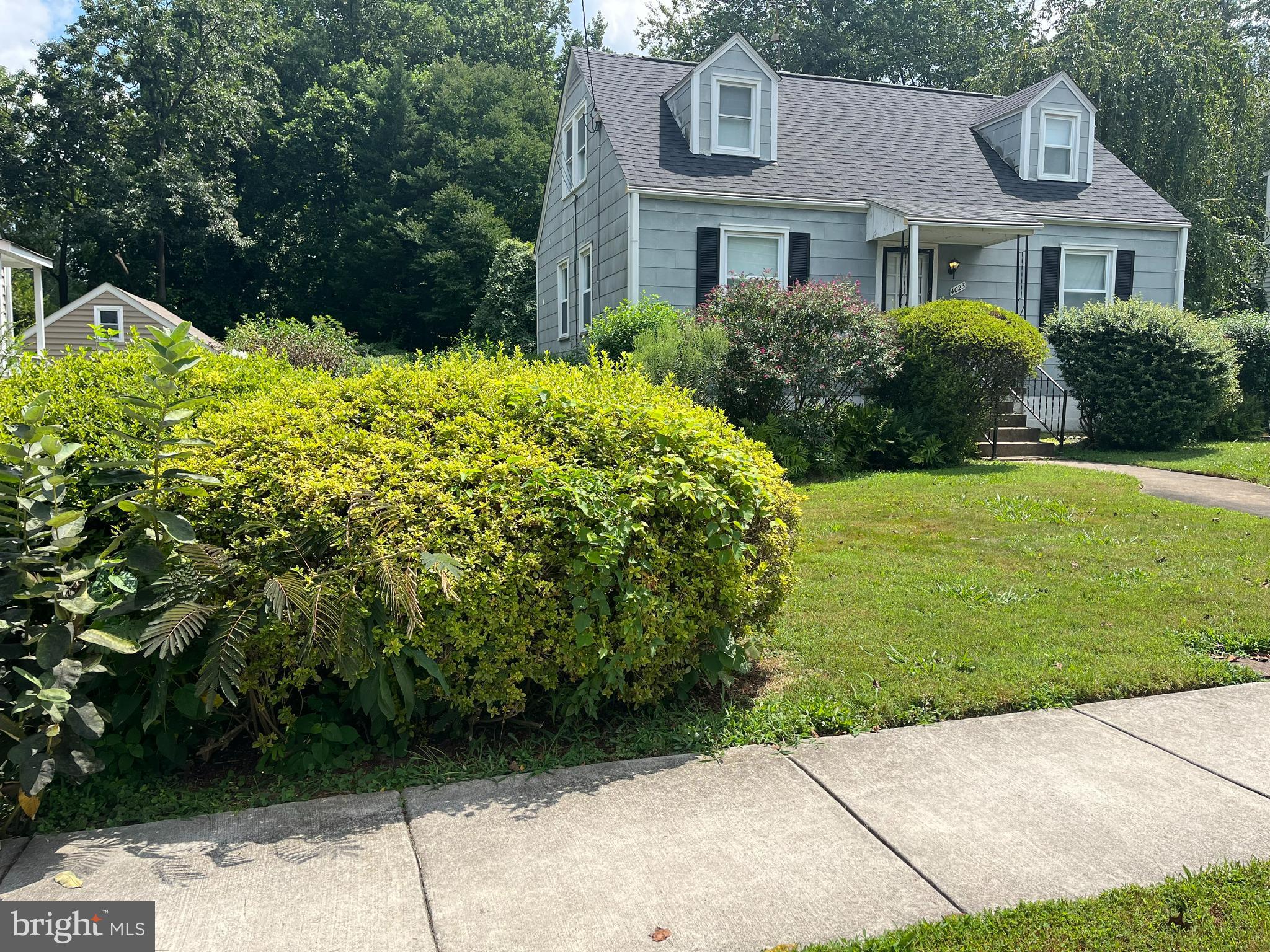 4023 WOODLAND DRIVE