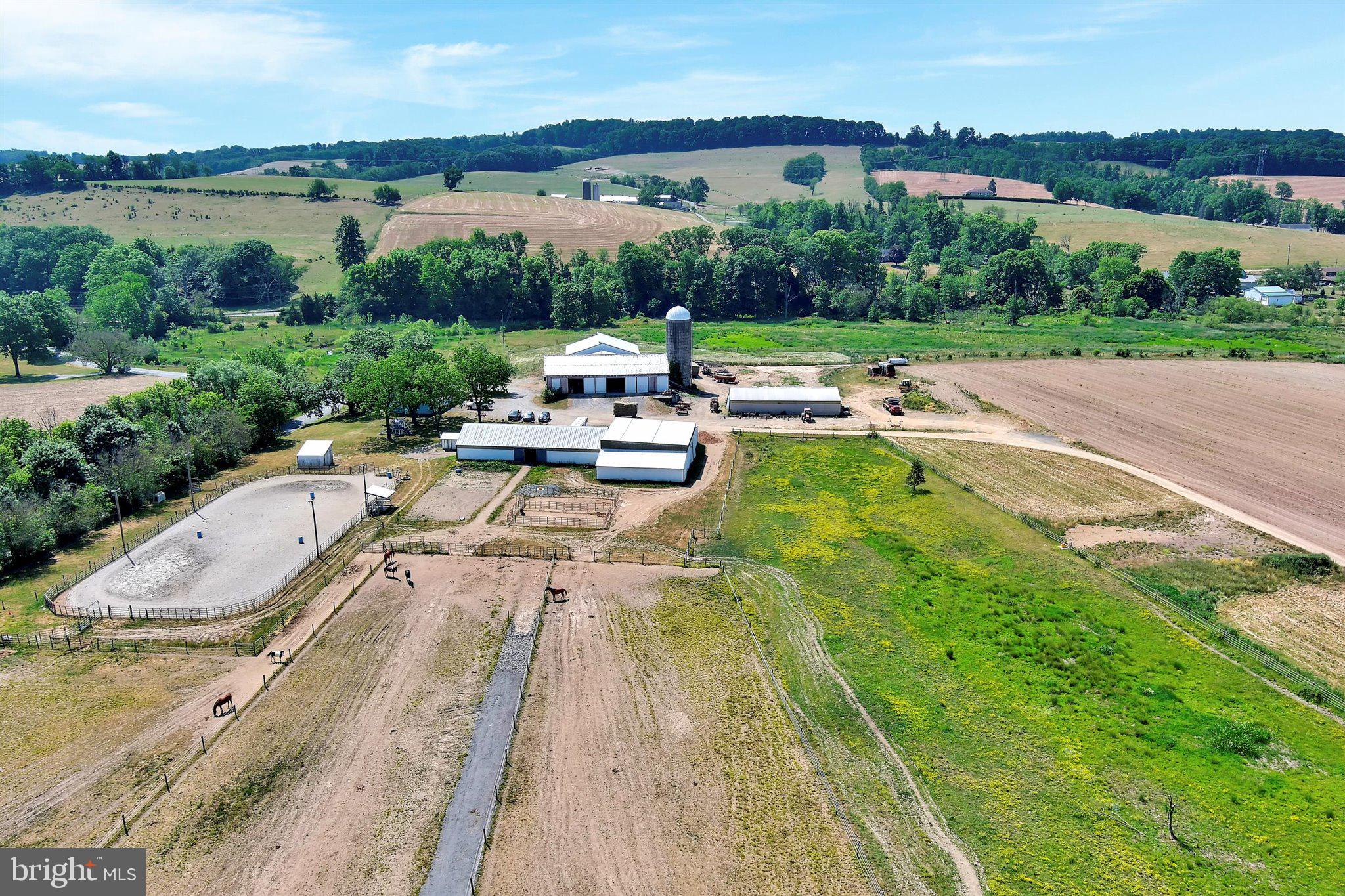 NONE AVAILABLE - Farm