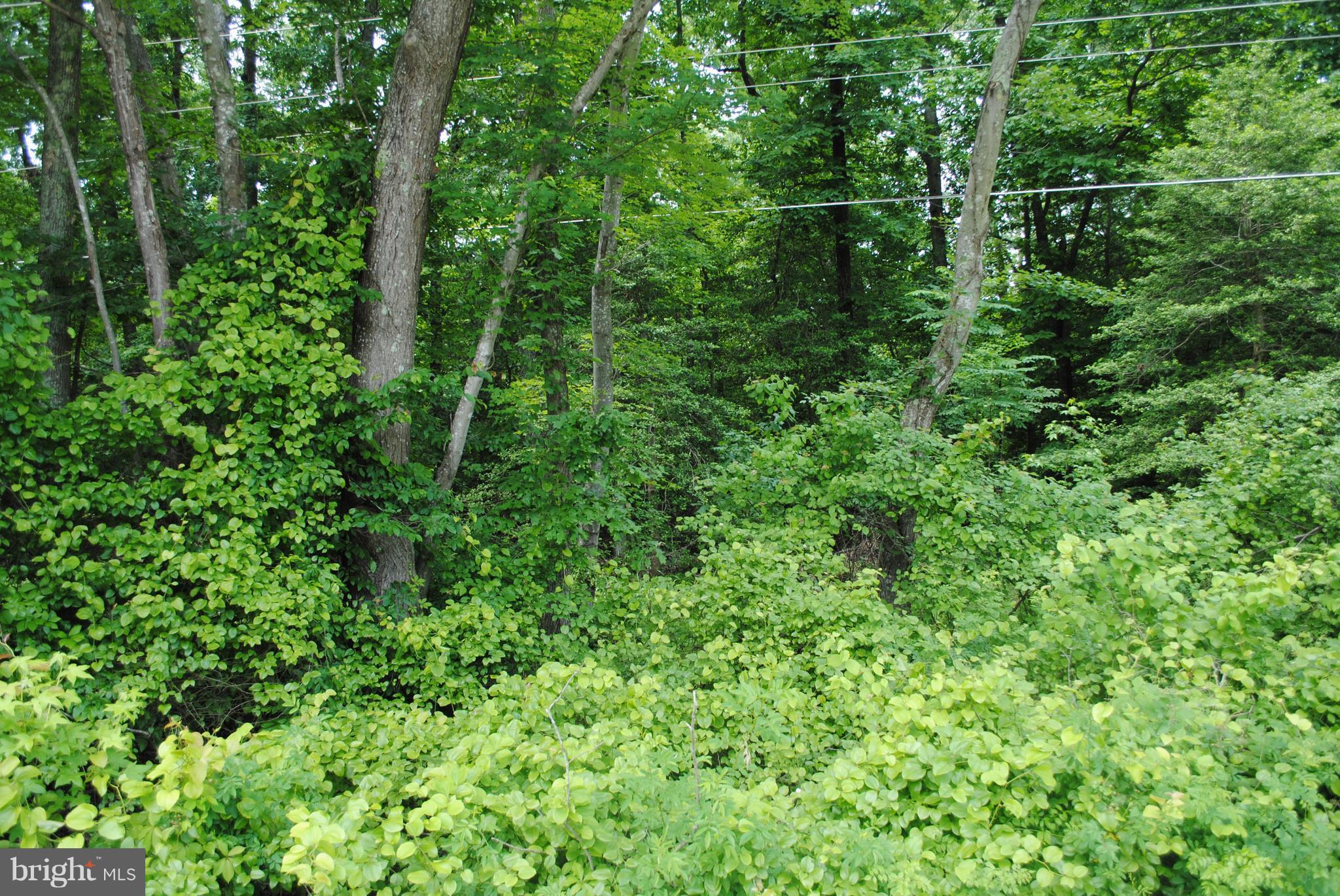 NONE AVAILABLE - Land