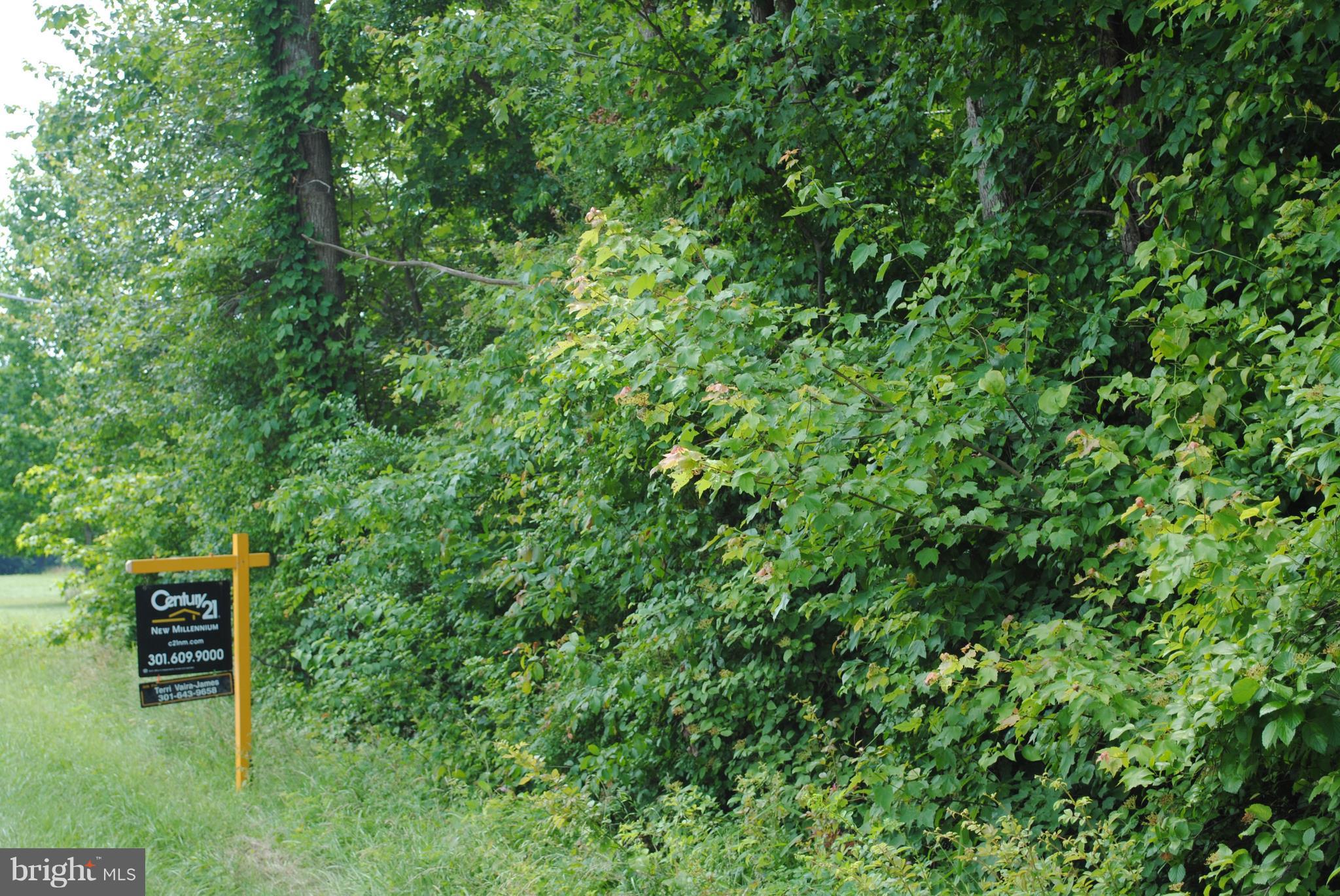 NONE AVAILABLE - Land