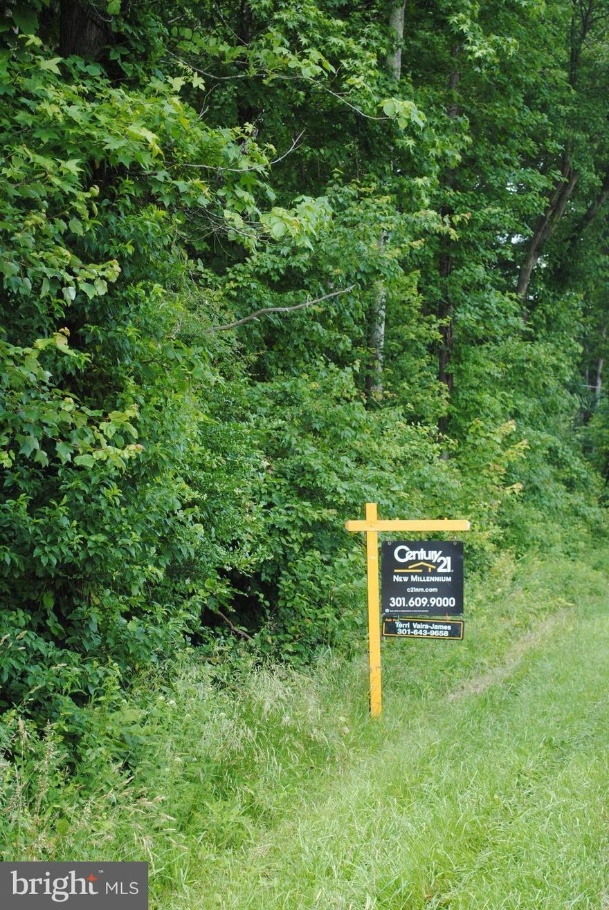 WONDERFUL LOCATION AND NO HOMEOWNERS ASSOCIATION!!! BRING THE RV, BOAT&BUILD YOUR DREAM HOME!!EASY ACCESS TO ROUTE 5 AND TONS OF COMMUNITY ACTIVITY AREAS/PARKS!! WOODED SETTING. DRIVEWAY OFF DR. SAMUEL MUDD ROAD FOR BURROUGHS PLACE. BUILD YOUR DREAM HOME WITH NO RESTRICTIONS!!! PERKED LOT AND READY TO GO!! SIGN IS LOCATED IN FRONT OF LOT LOCATION.