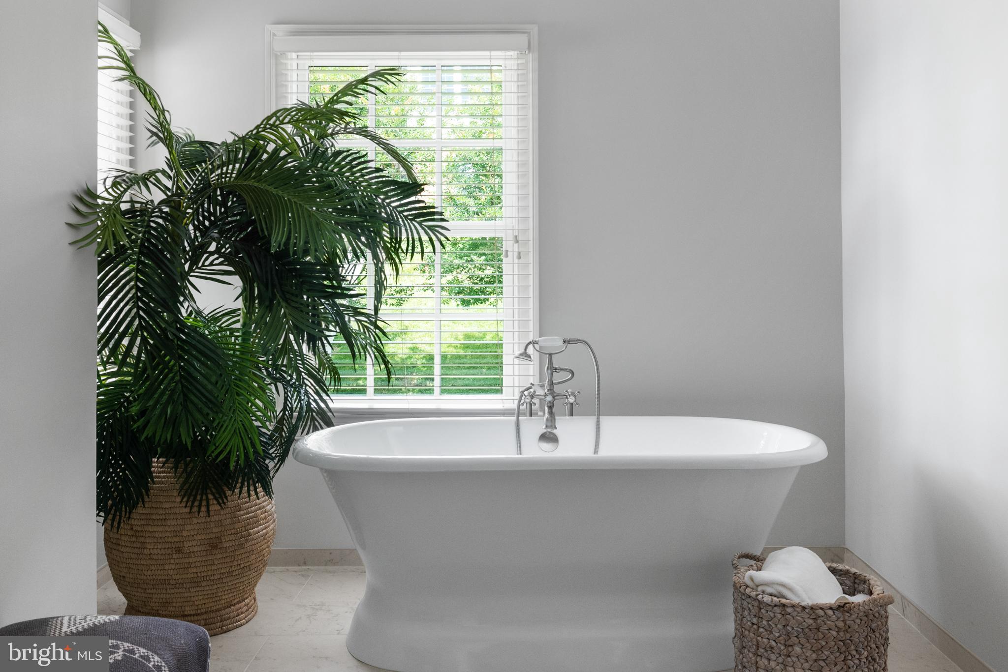 PENDENNIS MOUNT - Residential