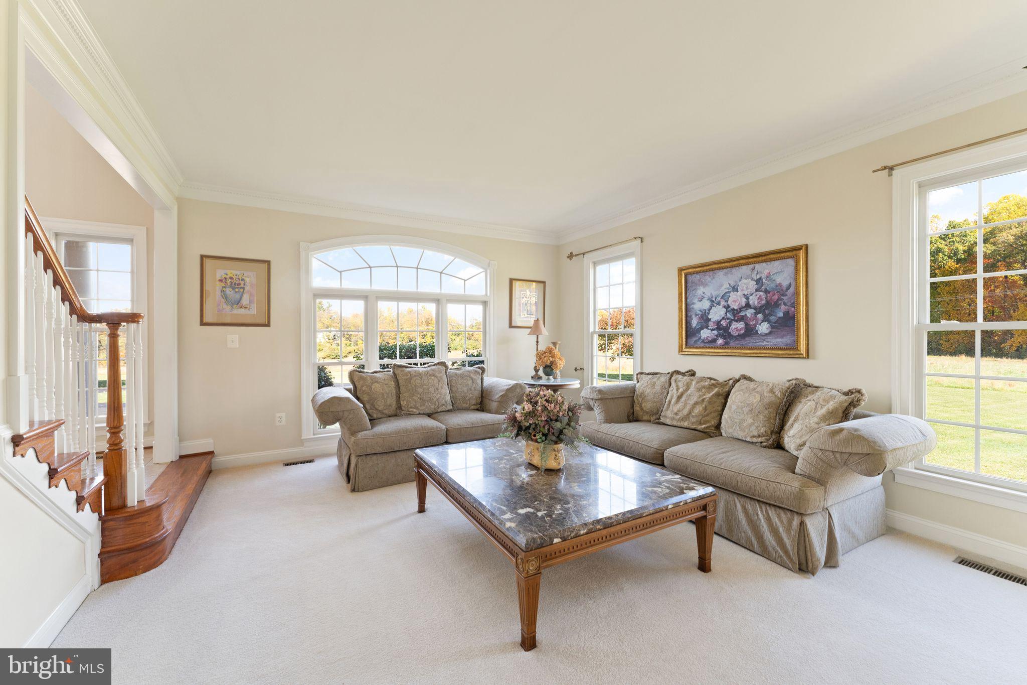 DEBUTTS - Residential