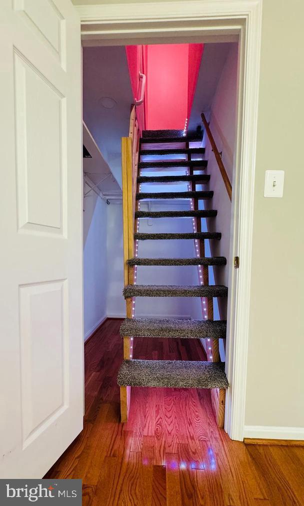 DOMINION STATION - Residential Lease