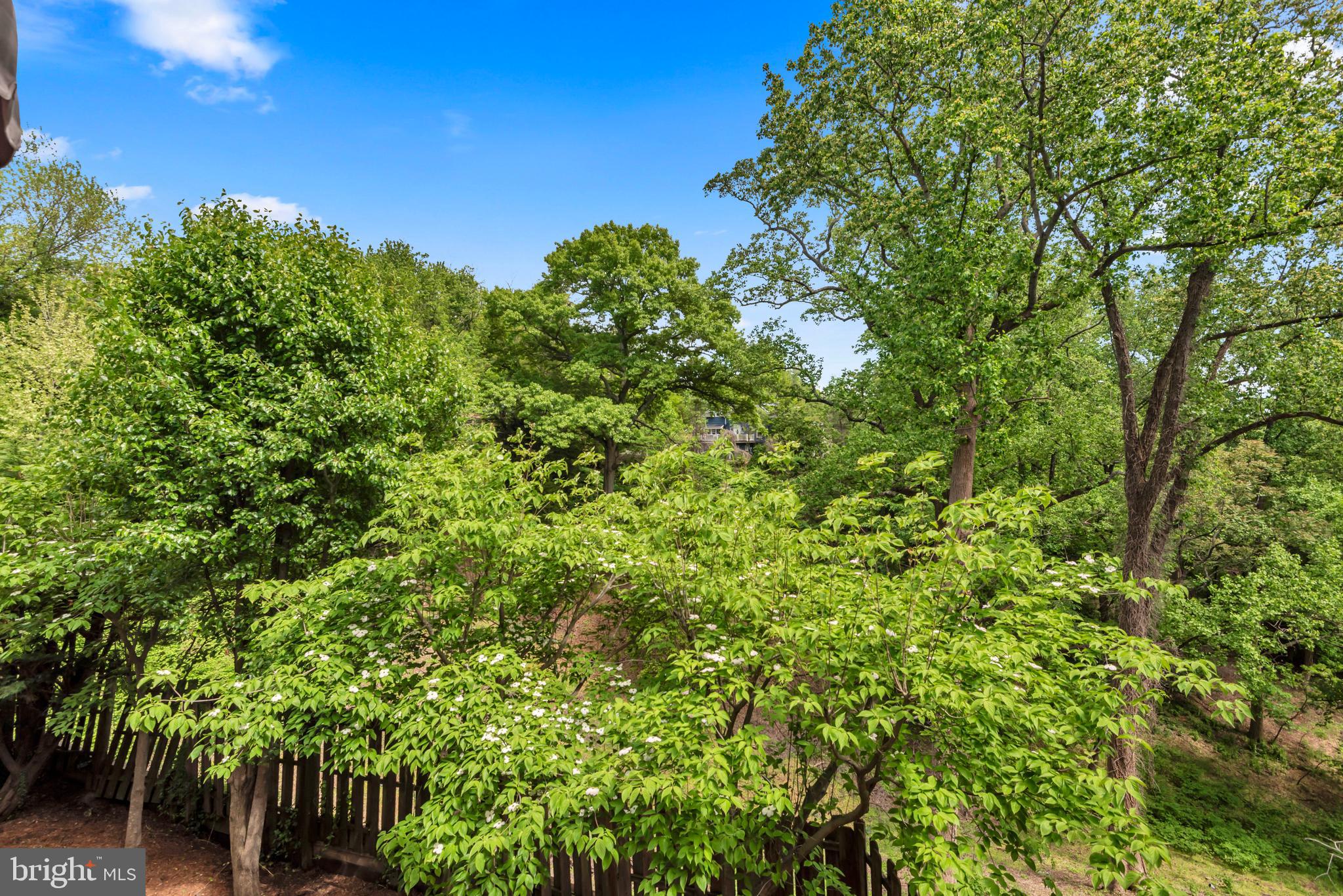 PINES ON THE SEVERN - Residential