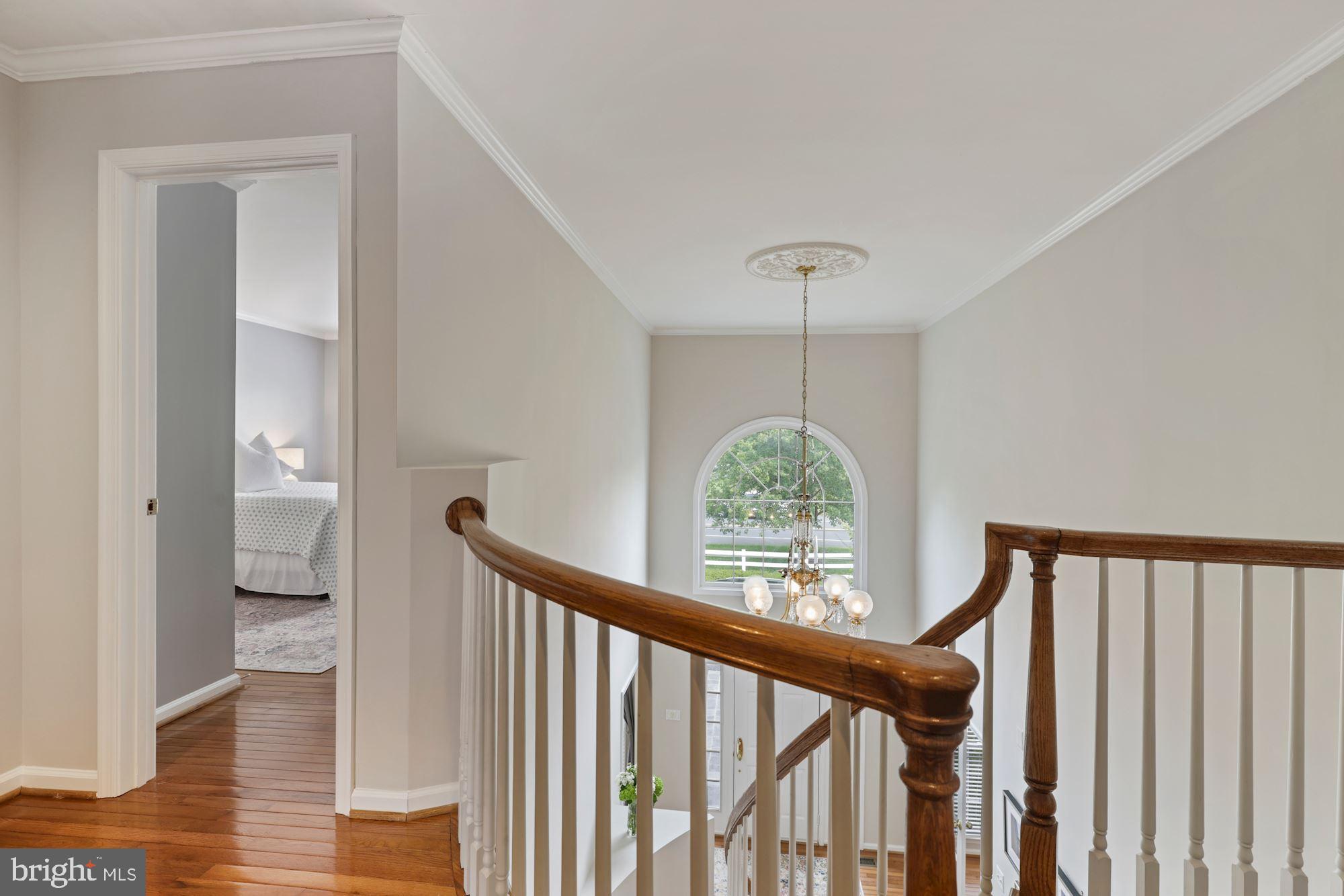 BLENHEIM - Residential