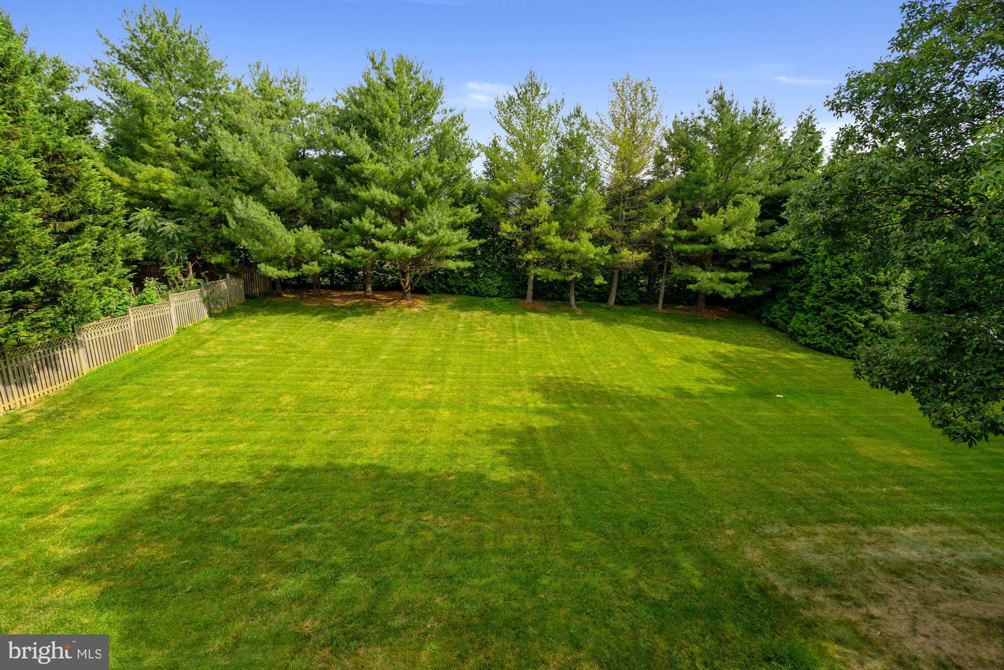 BLENHEIM - Residential