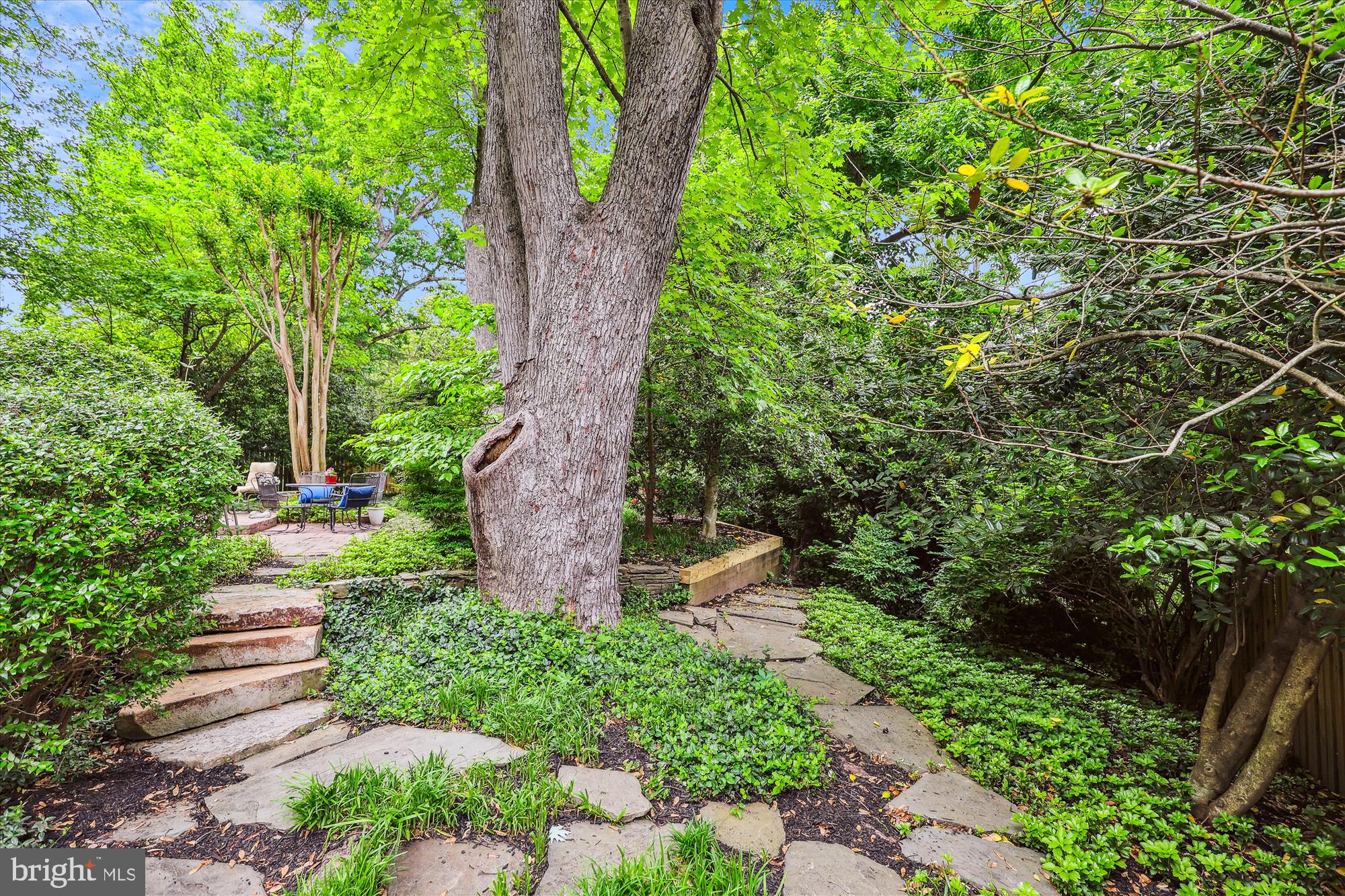 BROYHILL FOREST - Residential