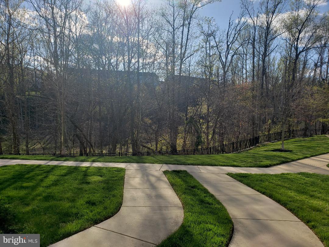 CHESTERFIELD - Residential Lease