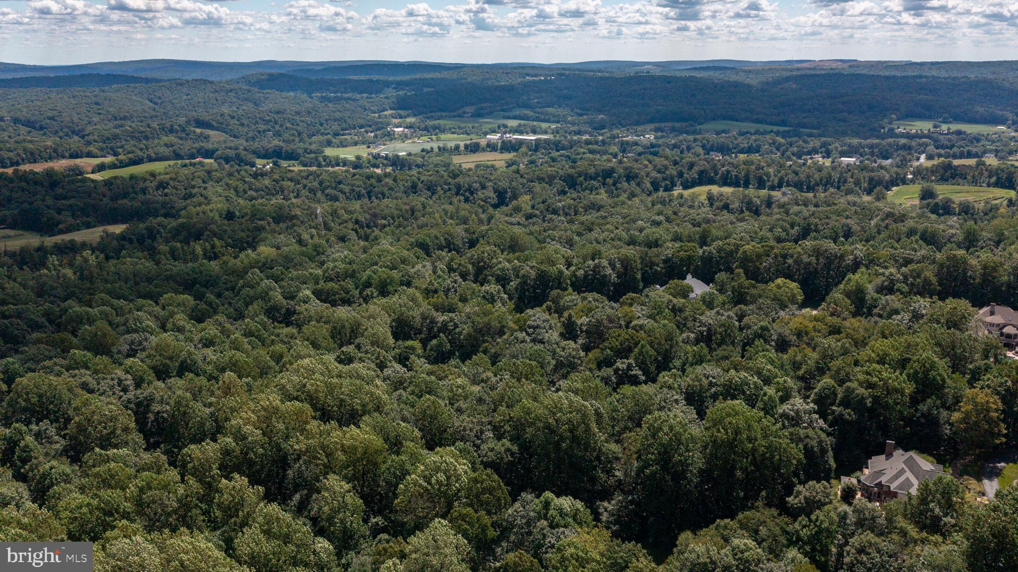 ANGELICA WOODS - Residential