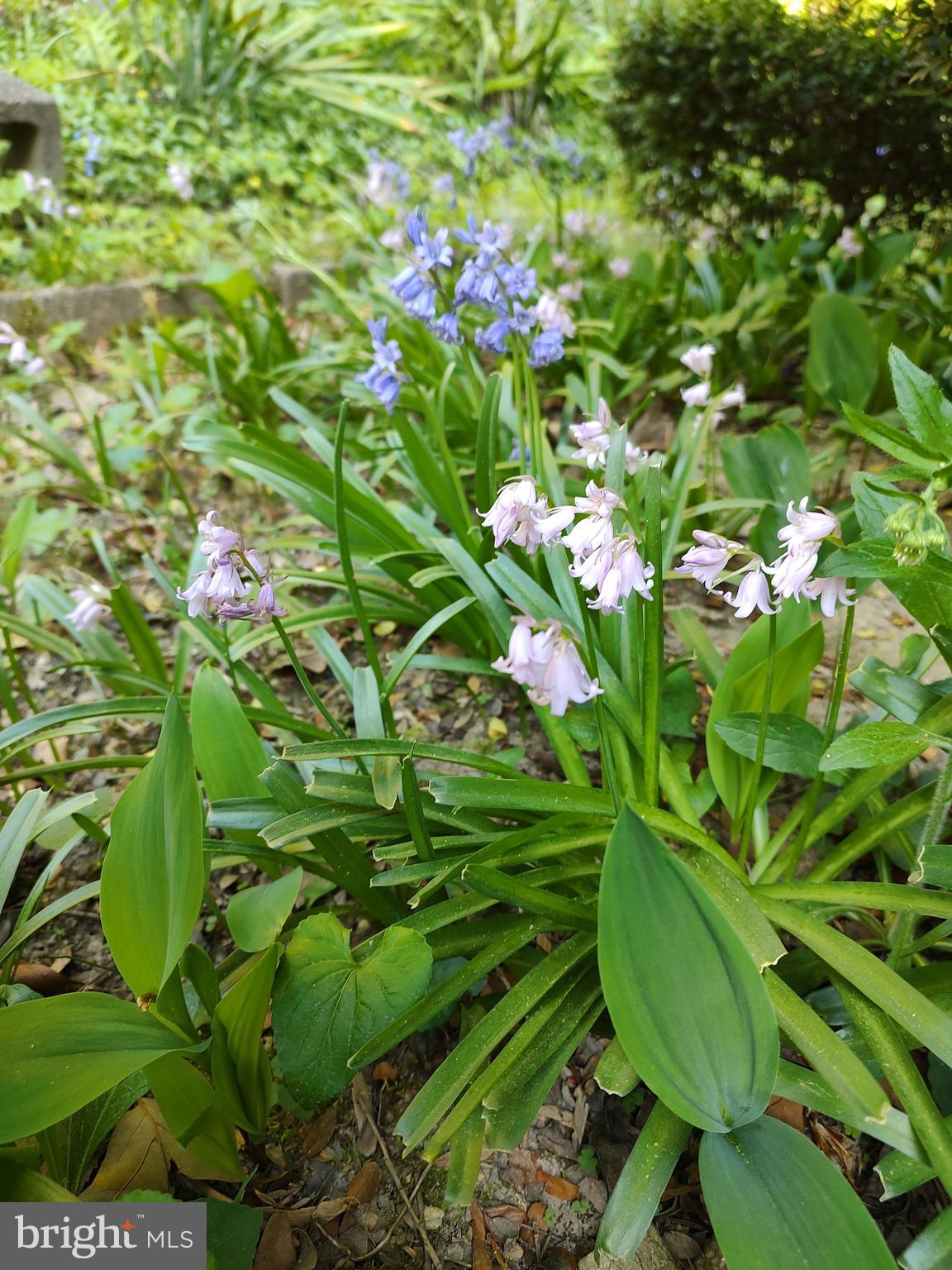 KNOLLAND - Residential