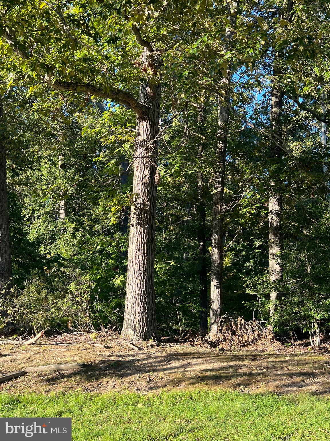 KNOLLAND - Residential