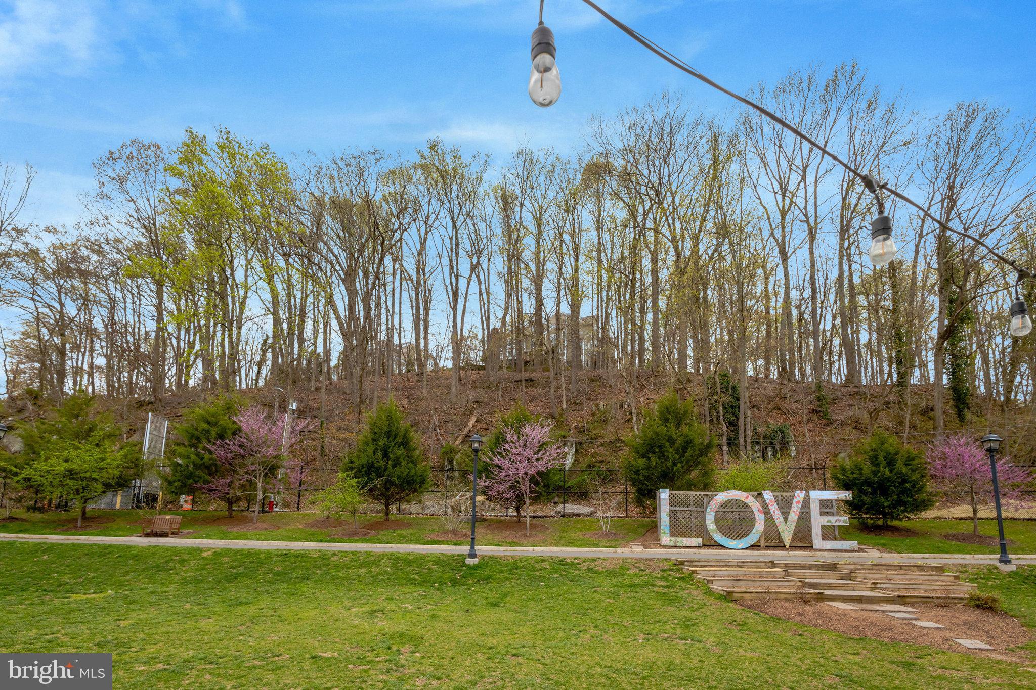 BARRINGTON POINTE CONDOS - Residential