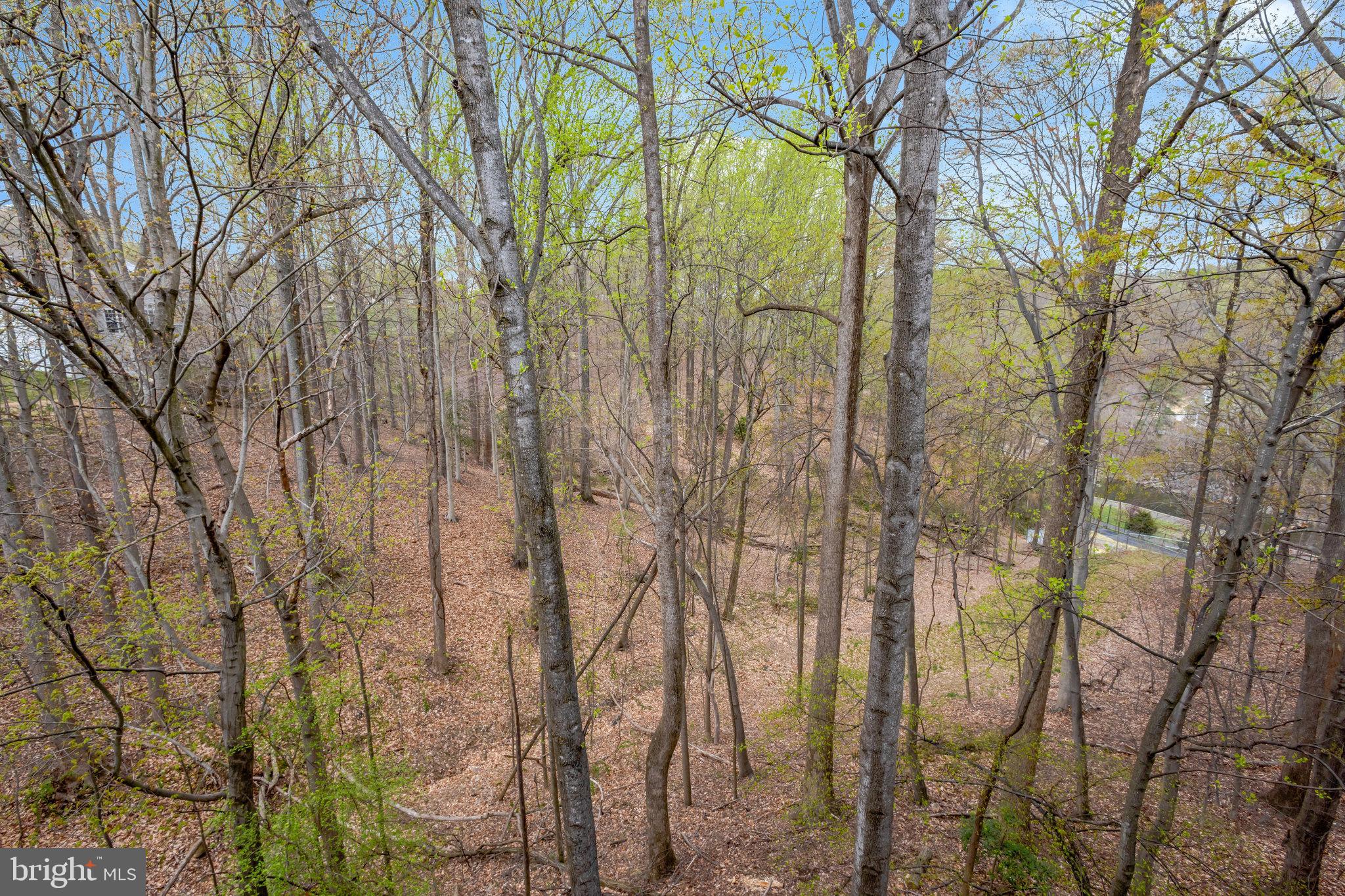 BARRINGTON POINTE CONDOS - Residential