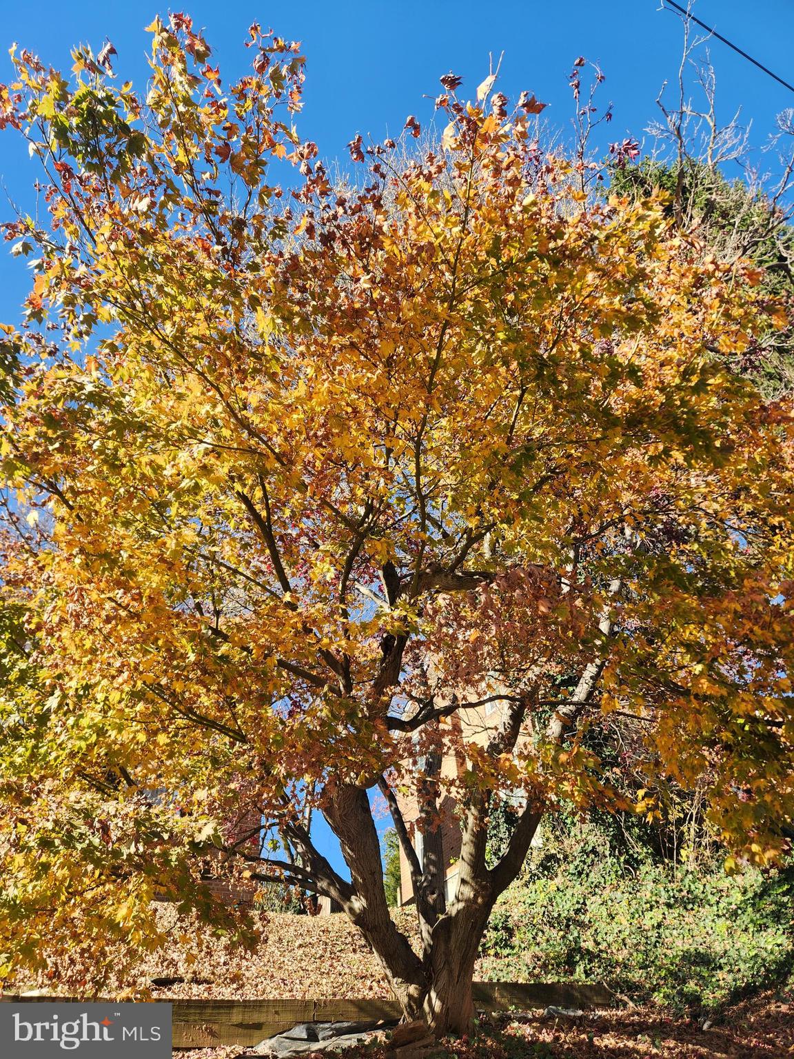 JOHN M KING - Residential