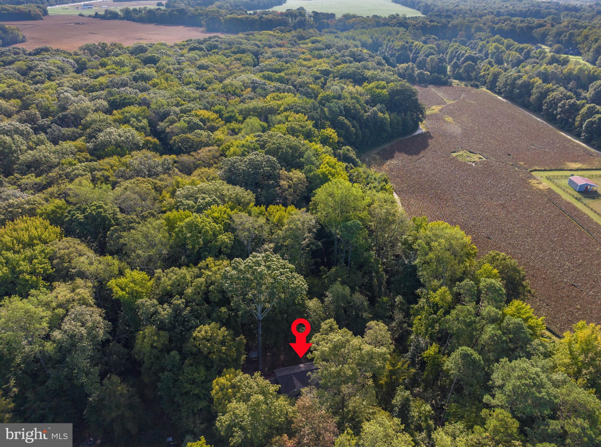 MAINBRACE - Residential