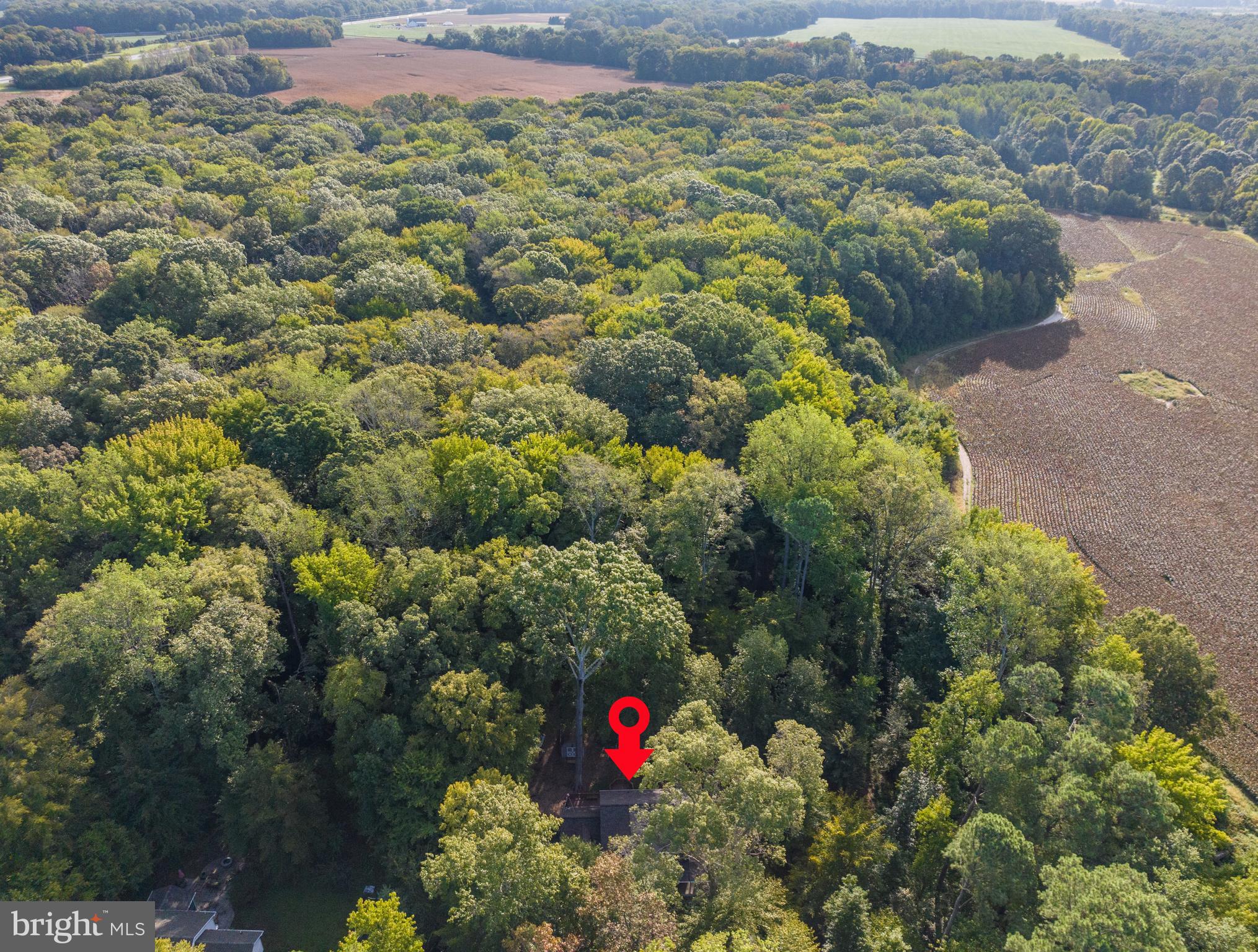 MAINBRACE - Residential