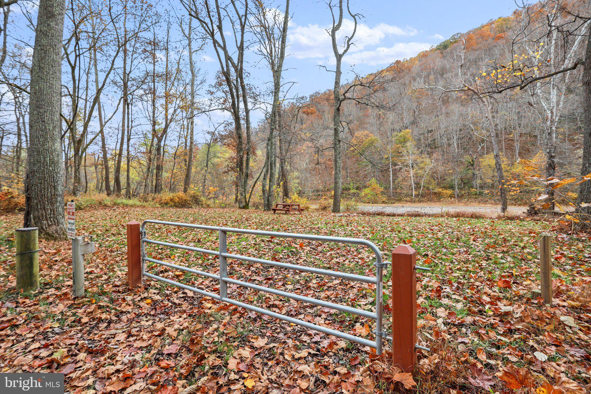 CACAPON RIVER VISTA - Residential