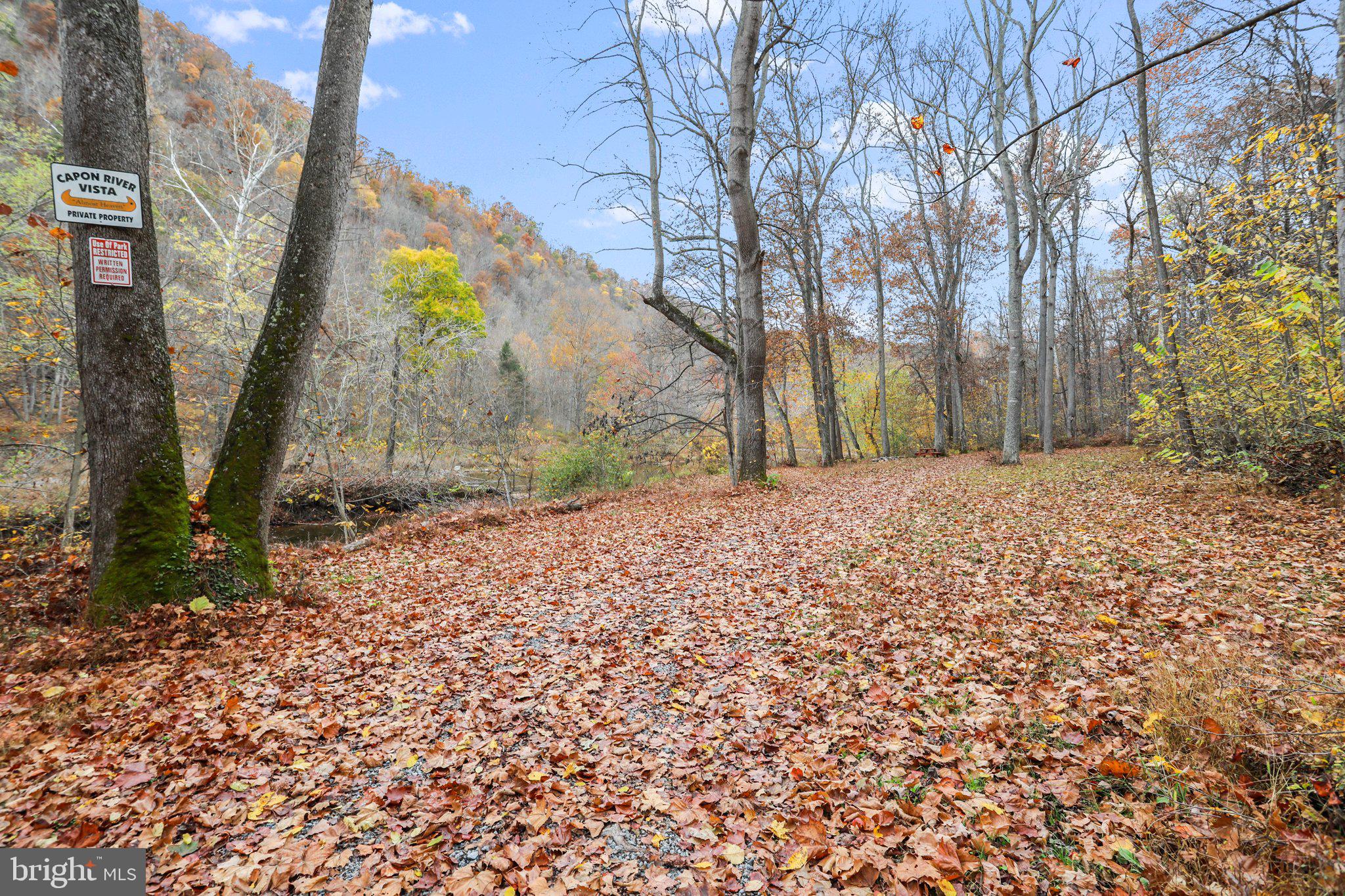CACAPON RIVER VISTA - Residential