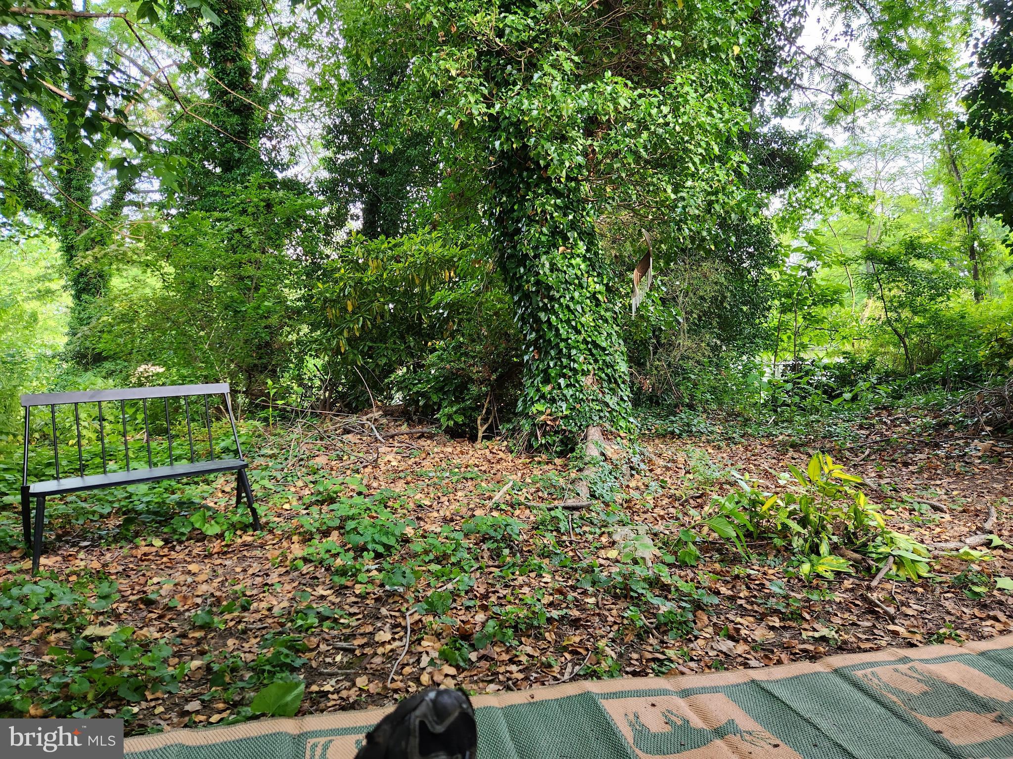 MIDDLEBOROUGH - Land