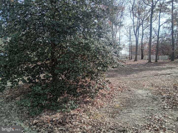 BALLARDS - Residential