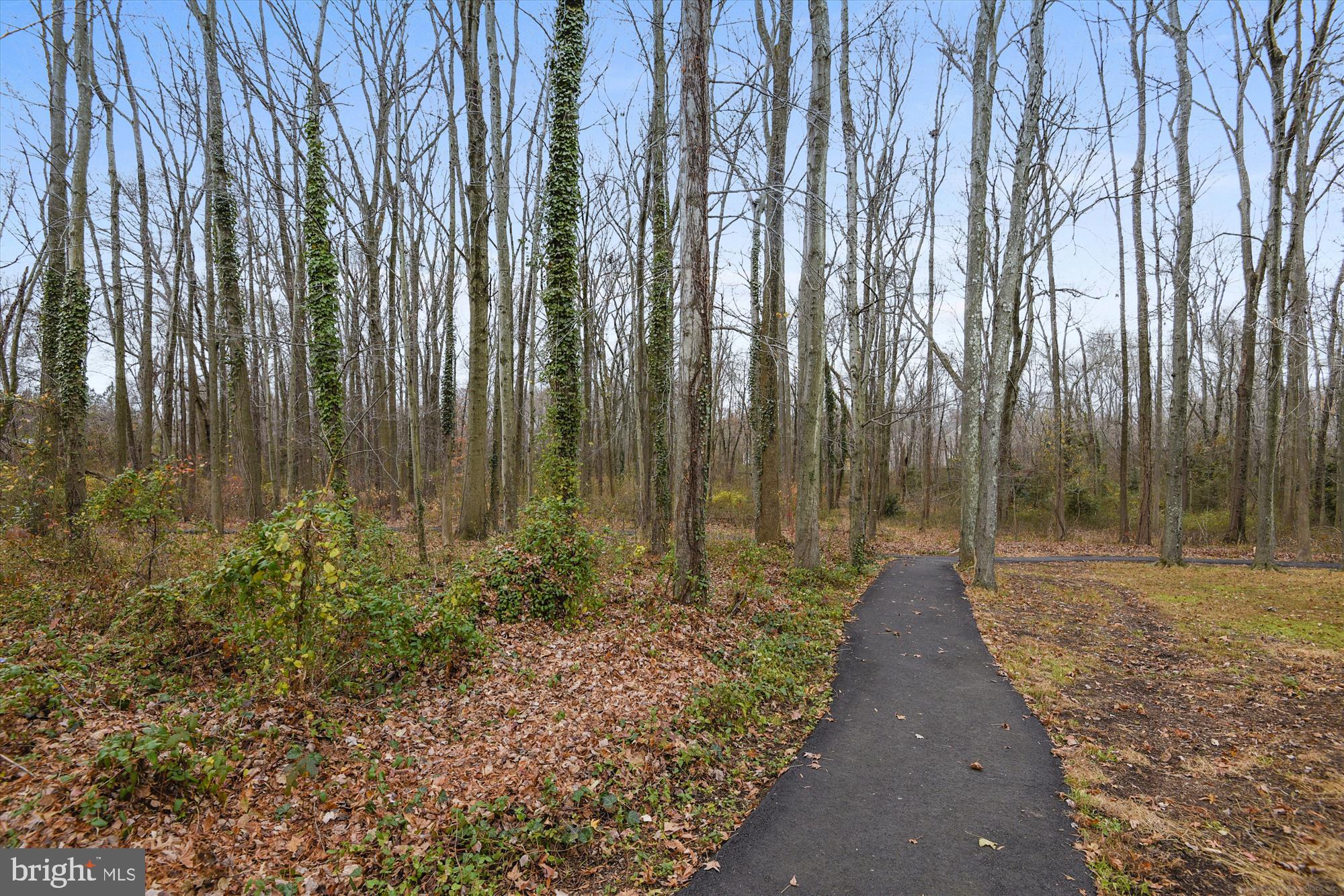 MOUNT VERNON - Residential Lease