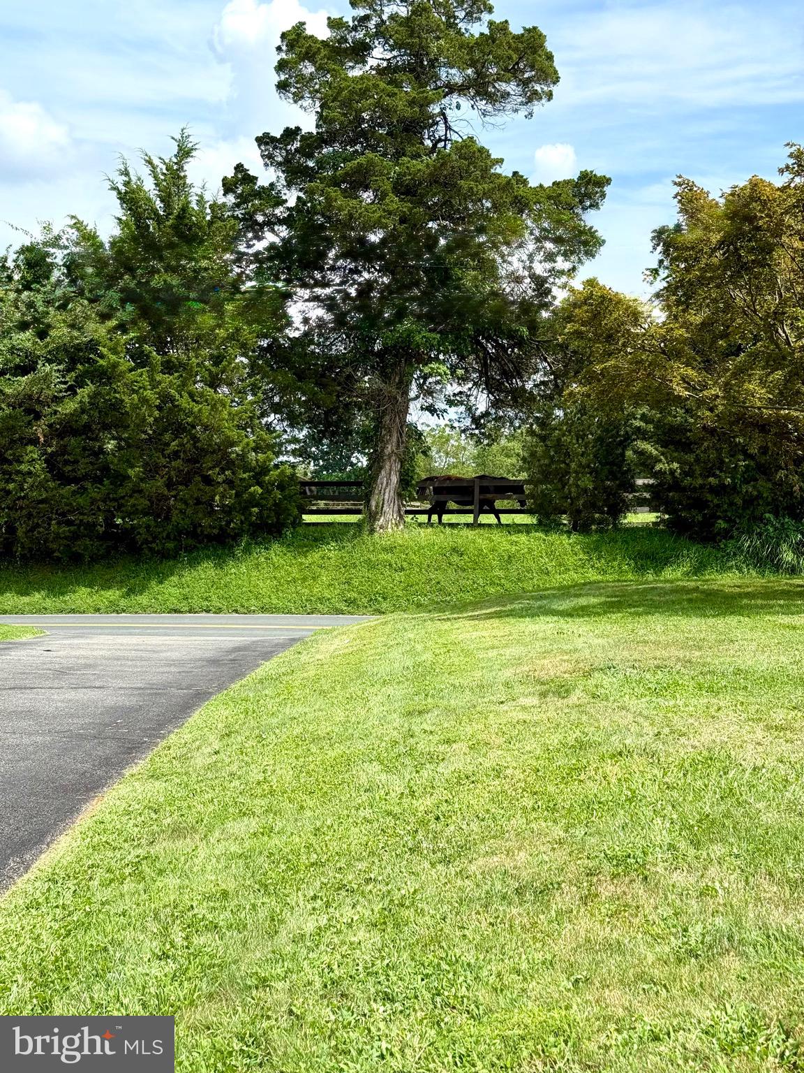 JOPPA HILLS - Residential