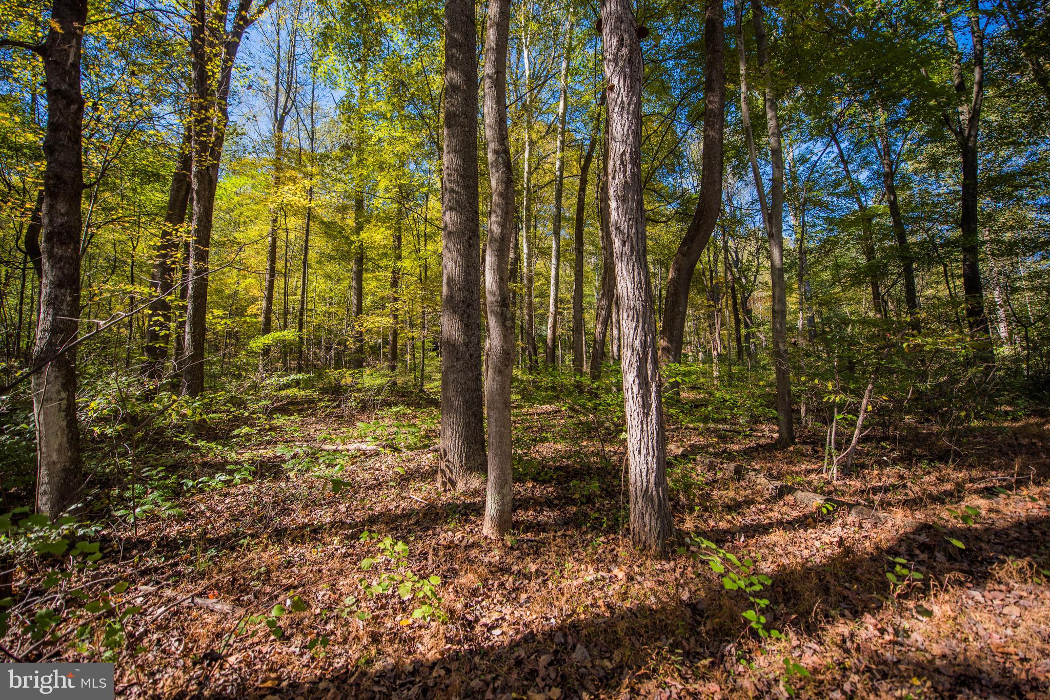 CACAPON RETREAT - Residential