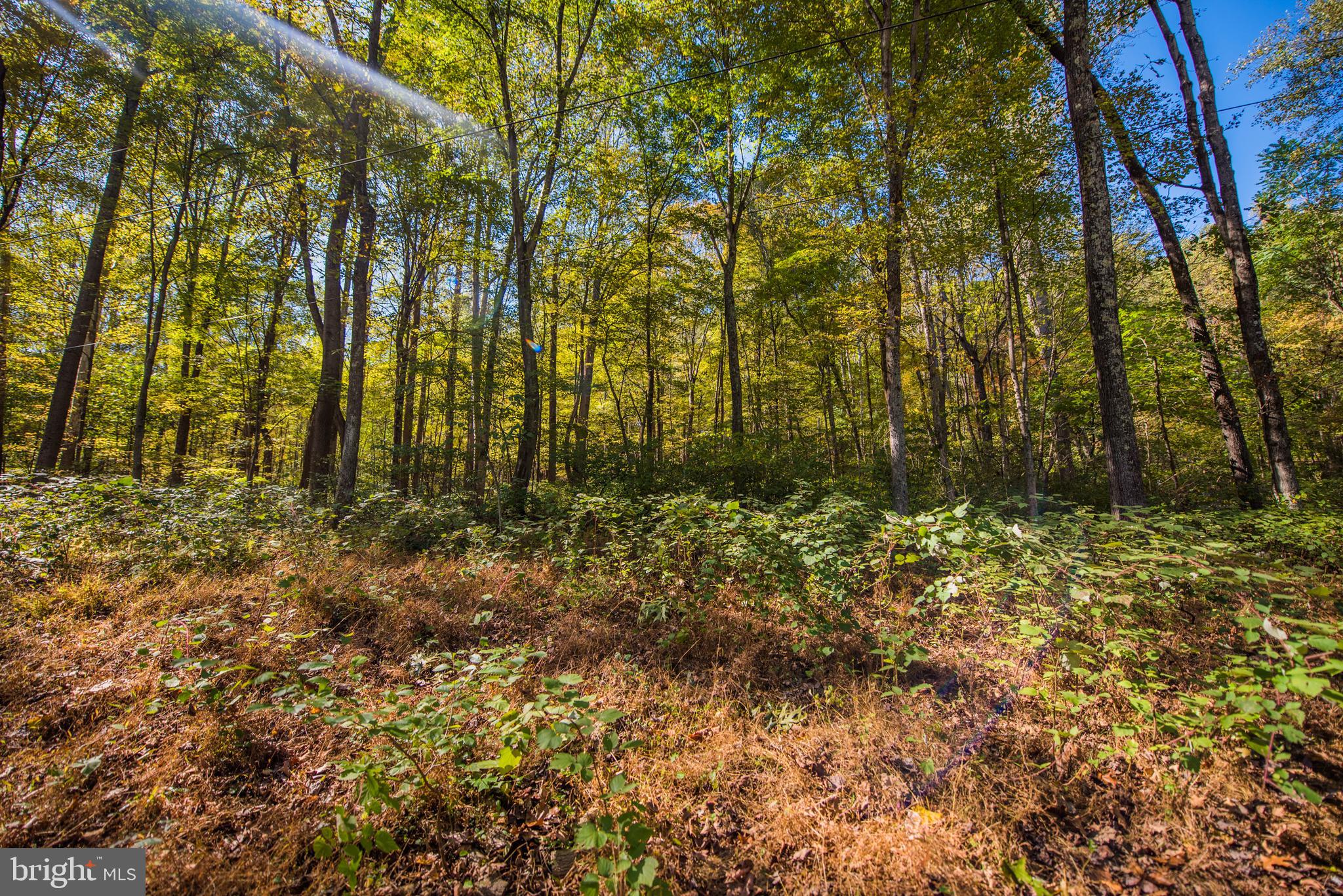 CACAPON RETREAT - Residential